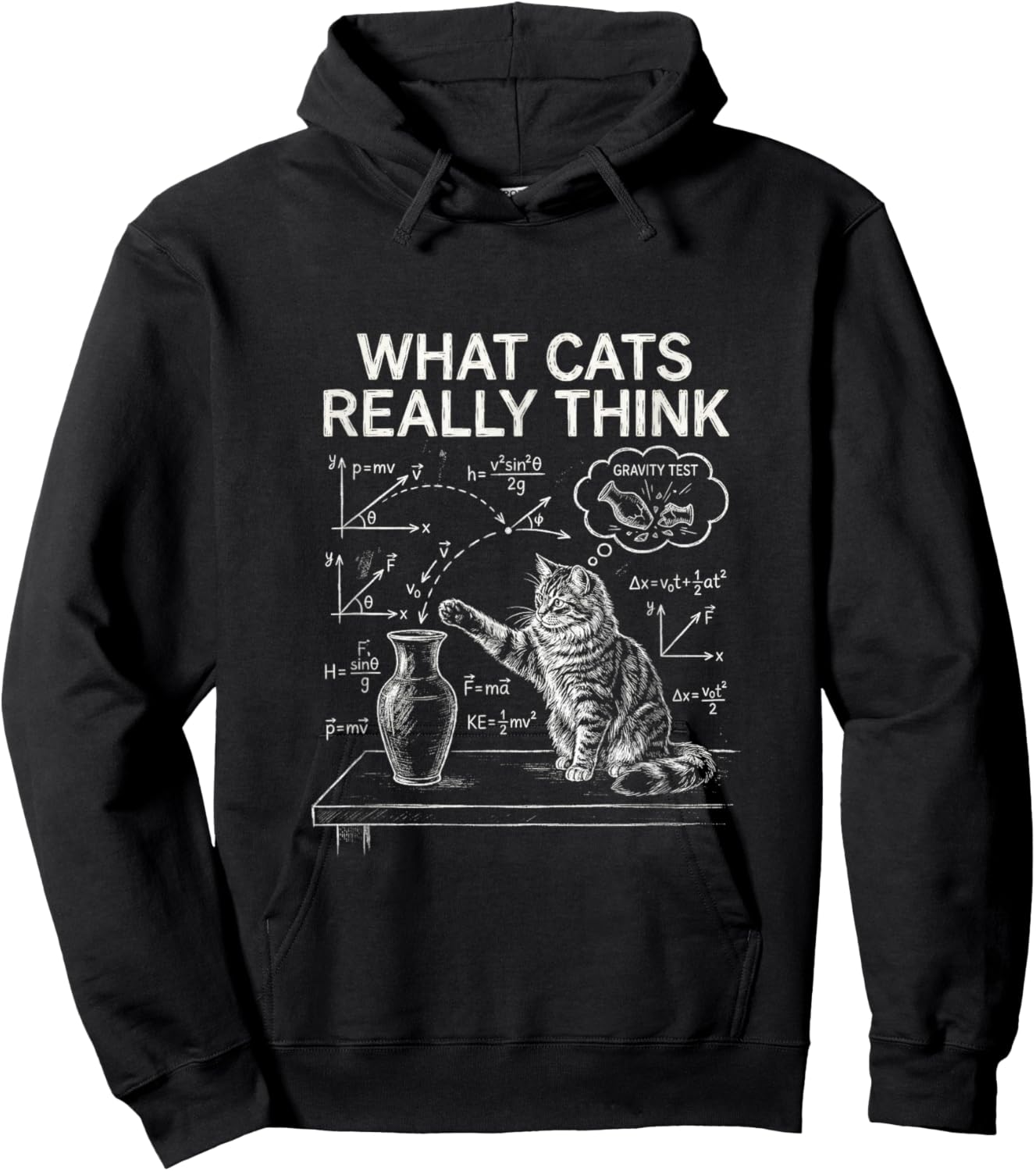 Funny Joke Cat Lovers Physics Humor What Cats Really Think Hoodie - Hoodie | Black