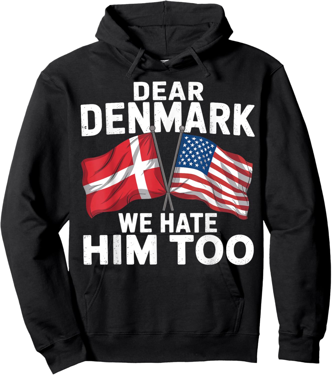 Dear Denmark We Hate Him Too Hoodie - Hoodie | Black