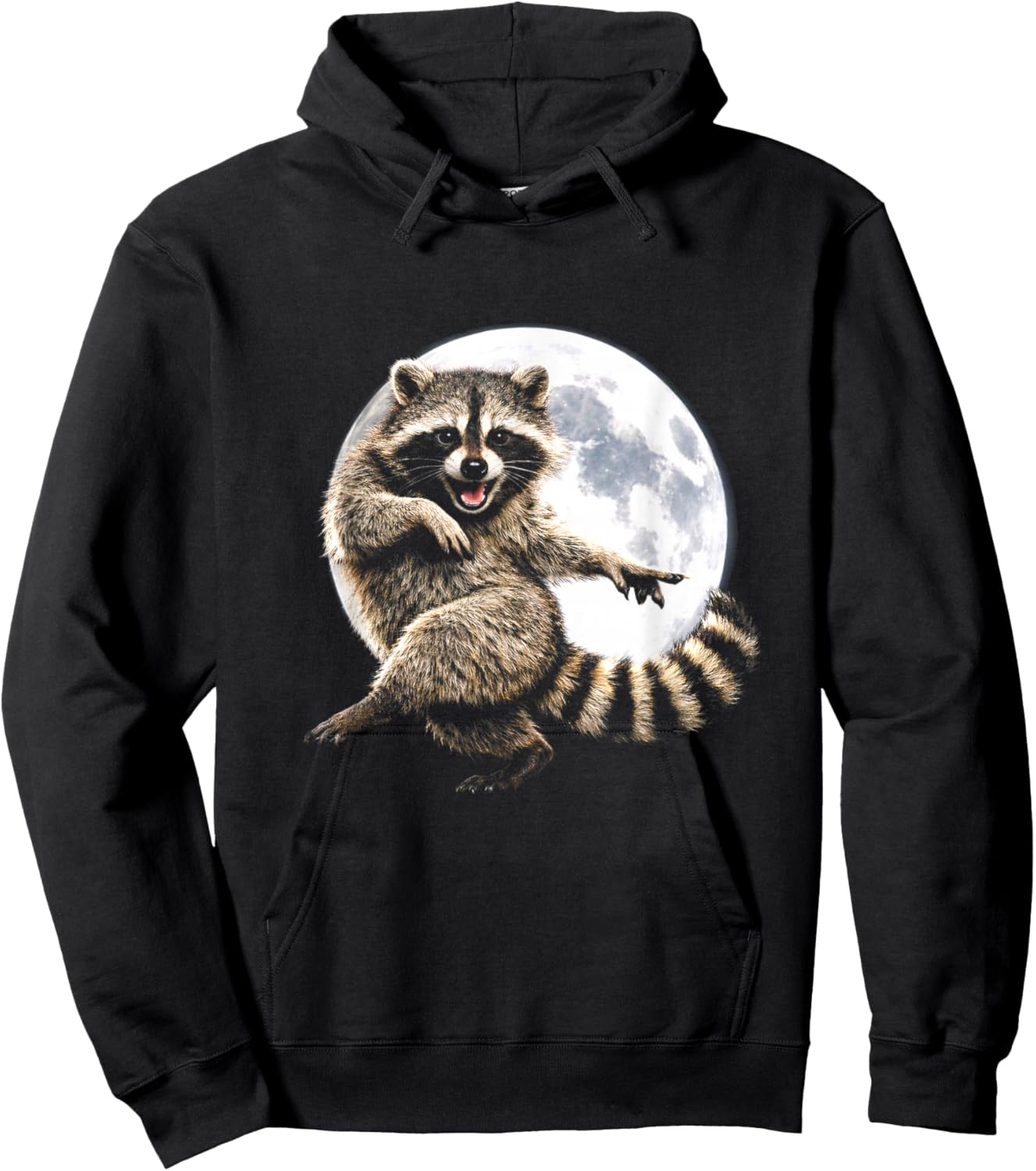 Dancing Raccoon – Moonlight Groove for Animal Lovers Hoodie - Hoodie | Black