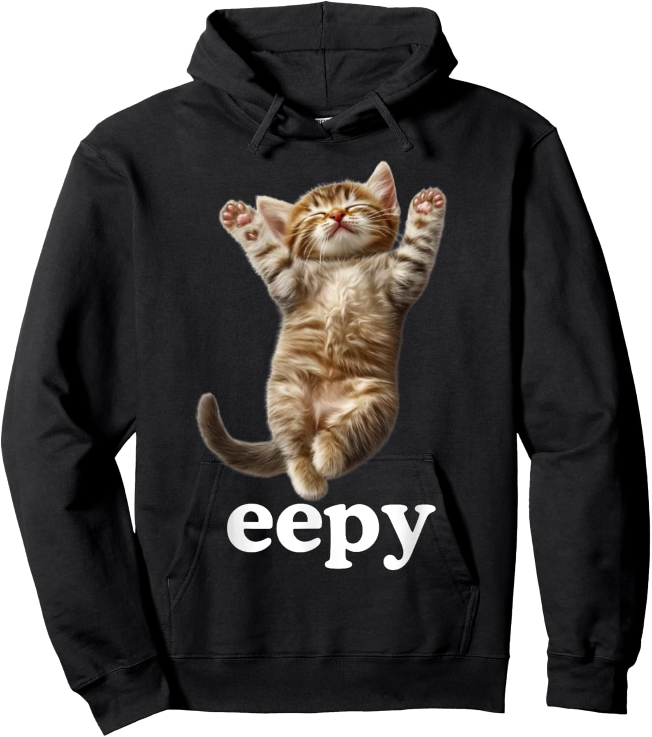 Adult Cat Meme , Black, Small, Short Sleeve Hoodie - Hoodie | Black