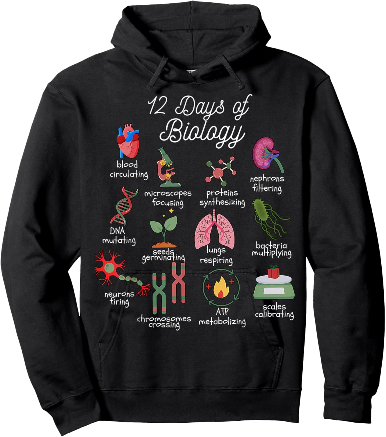 12 Days of Biology Christmas Biology Science Teacher STEMS Hoodie - Hoodie | Black