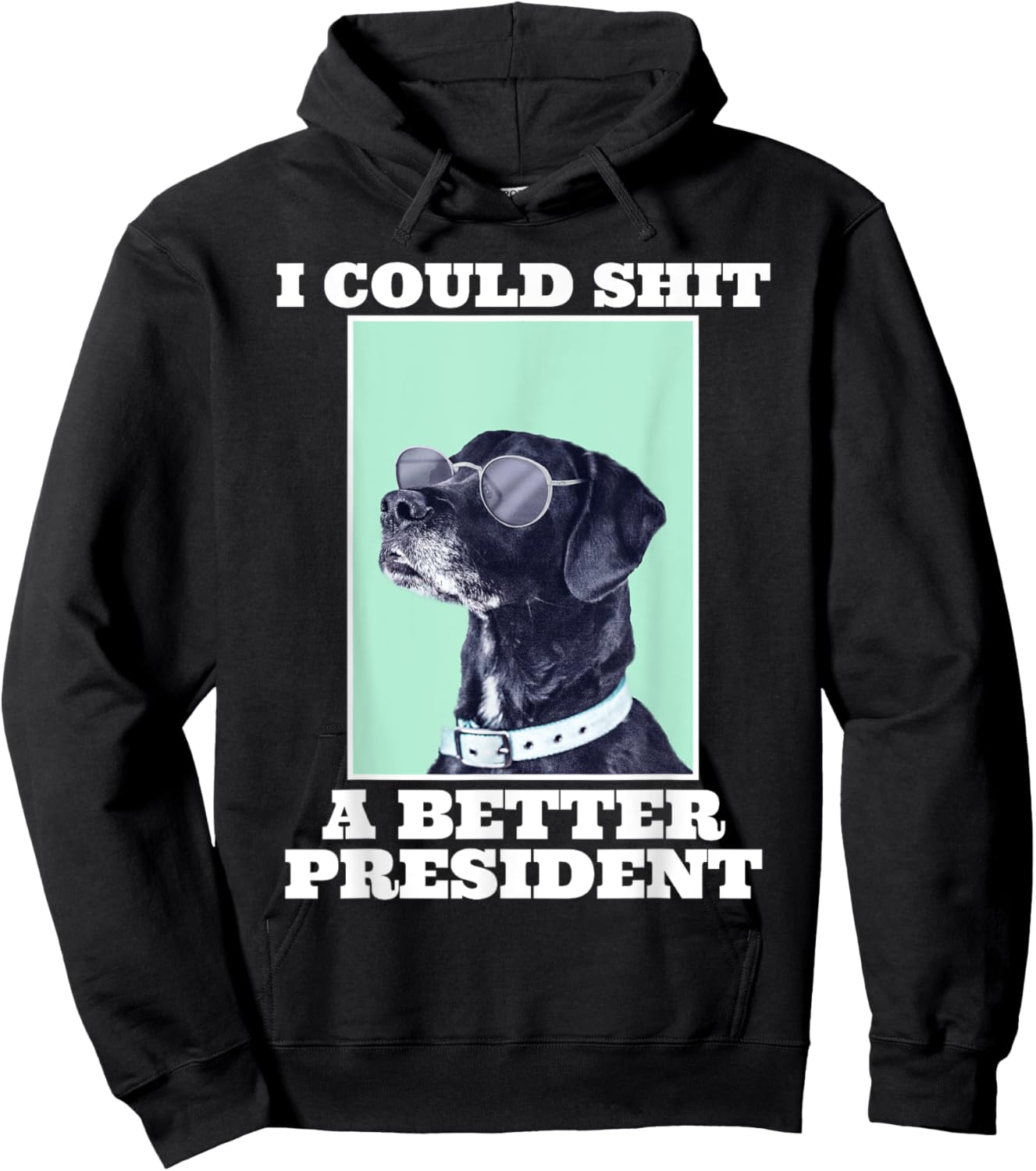 I Could Shit A Better President Funny Dogs Lovers Sarcasm Hoodie - Hoodie | Black