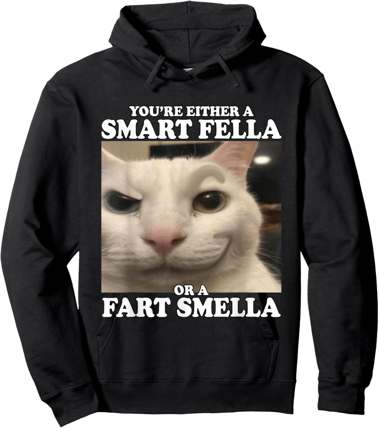 You're Either A Smart Fella Or A Fart Smella Funny Cat Meme Hoodie - Hoodie | Black