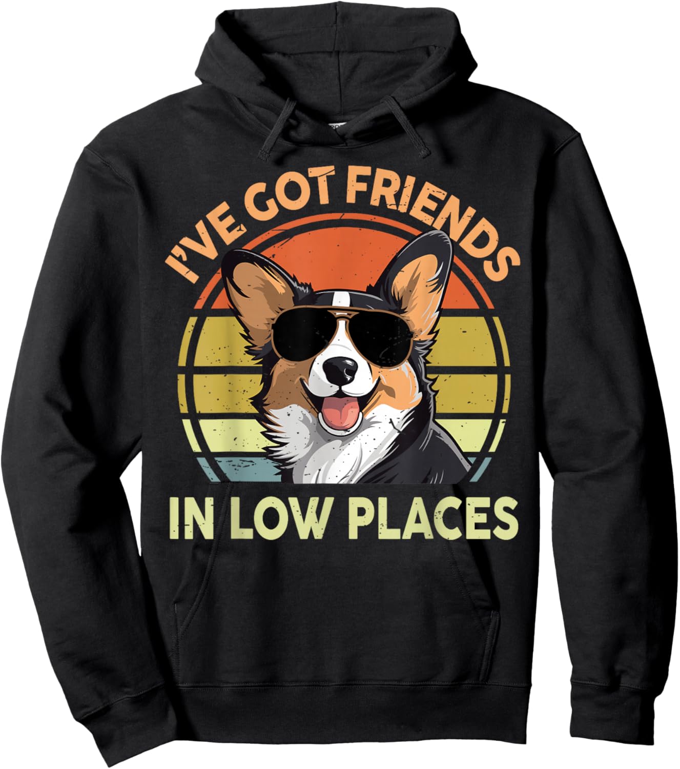 Funny Corgi I've Got Friends Low Places Corgi Gift Lover Hoodie - Hoodie | Black