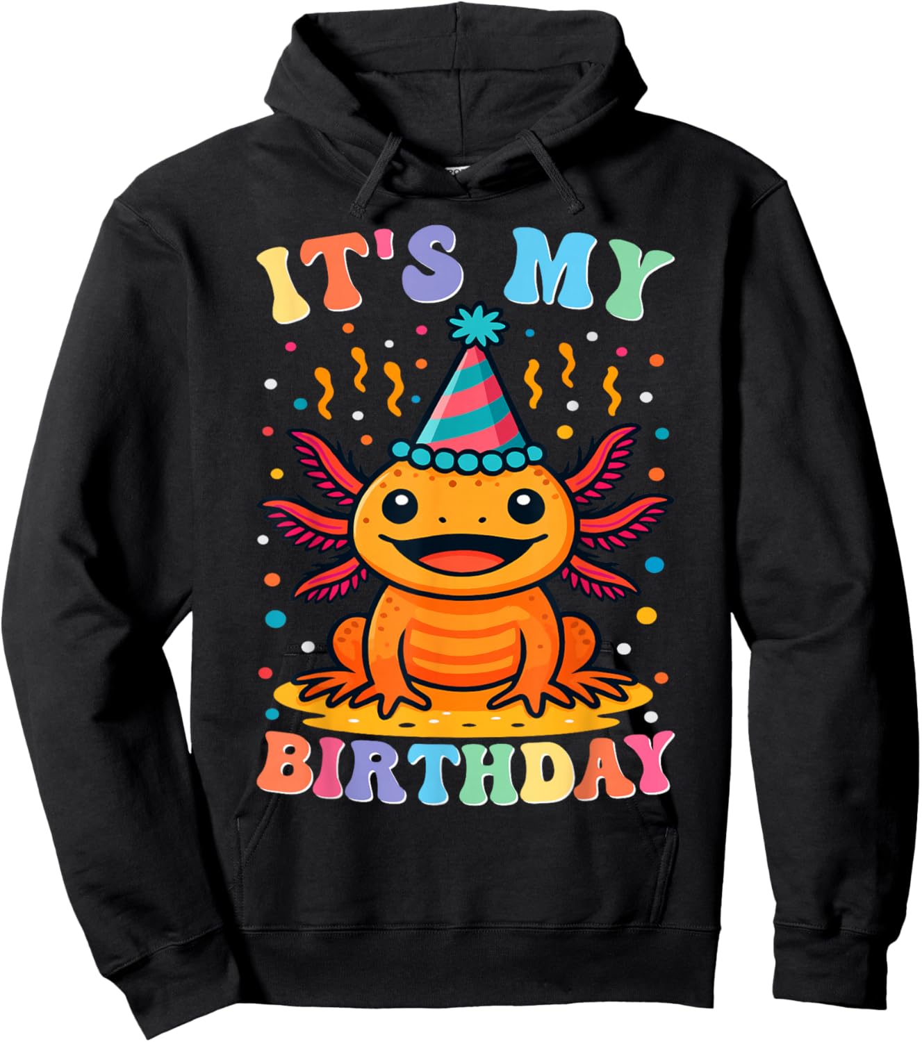 Its My Birthday Axolotl Birthday Party Celebration Hoodie - Hoodie | Black