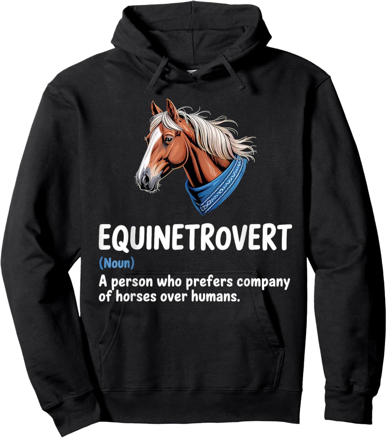 Equinetrovert A Person Who Prefers Company Horses Definiton Hoodie - Hoodie | Black