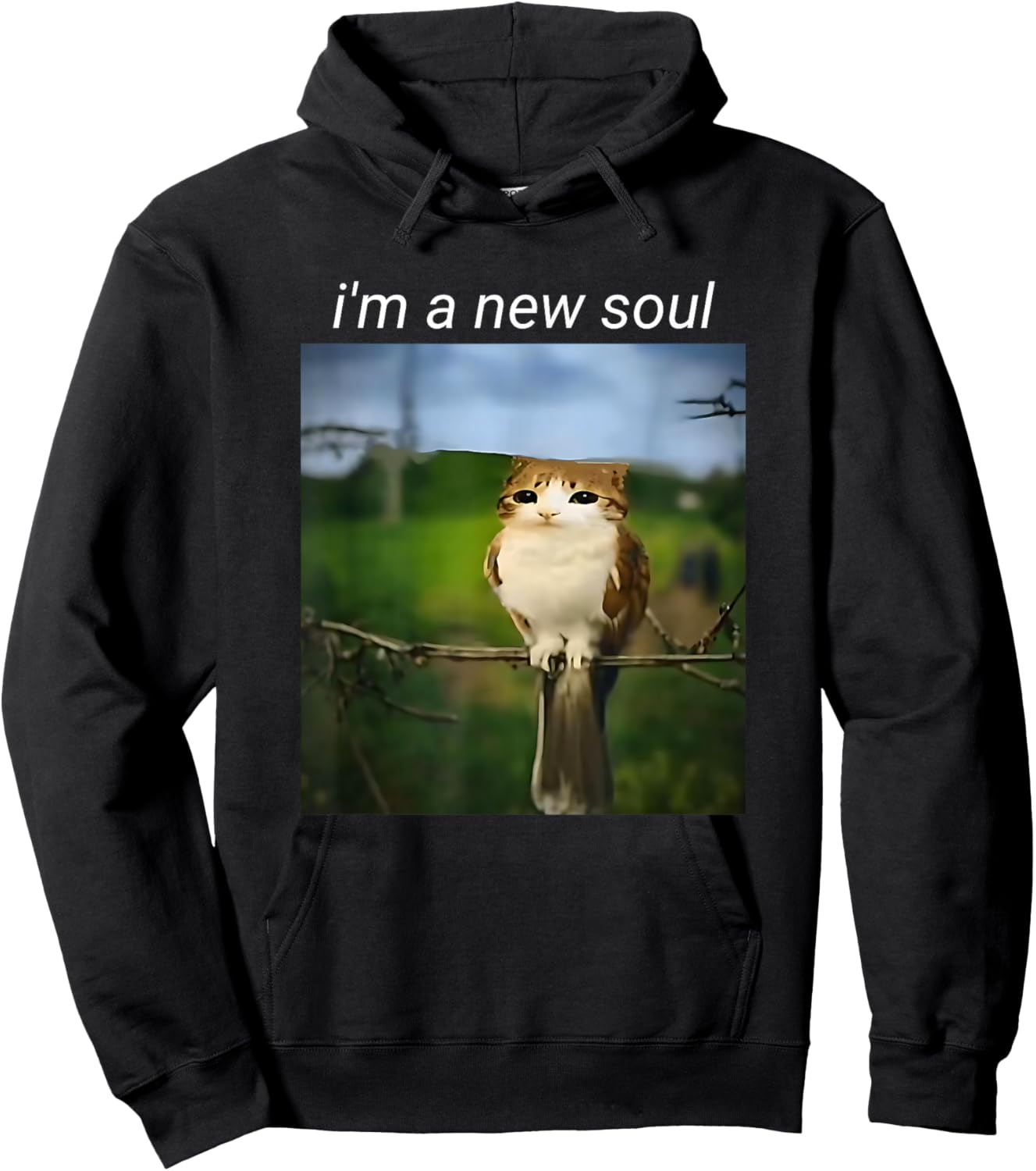 My Spirit Animal Funny Meowl Meme, Cat Owl Meme Brain Red Hoodie - Hoodie | Black