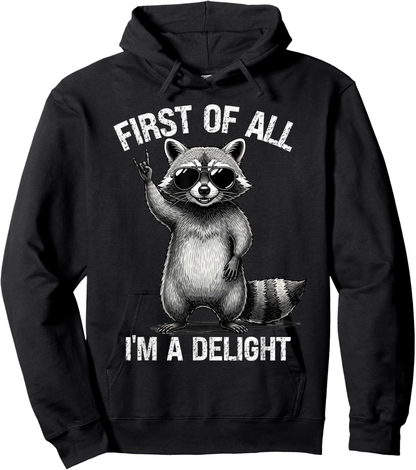 Funny Raccoon Rock Music First of All Im A Delight Men Women Hoodie - Hoodie | Black