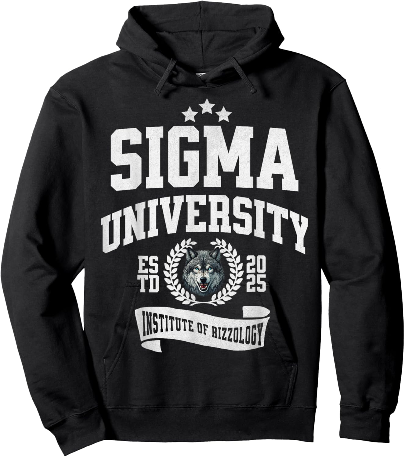 Sigma University Institute of Rizzology Funny Wolf Rizz Meme Hoodie - Hoodie | Black