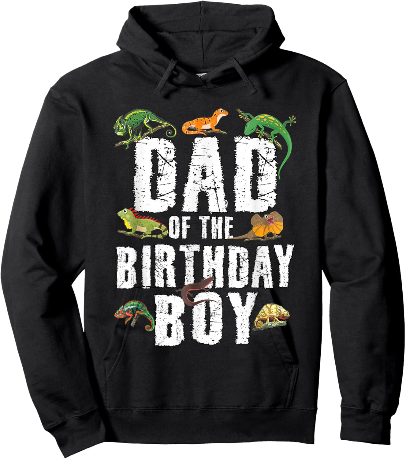 Dad of The Birthday Boy Reptiles Lizard Themed Party Hoodie - Hoodie | Black