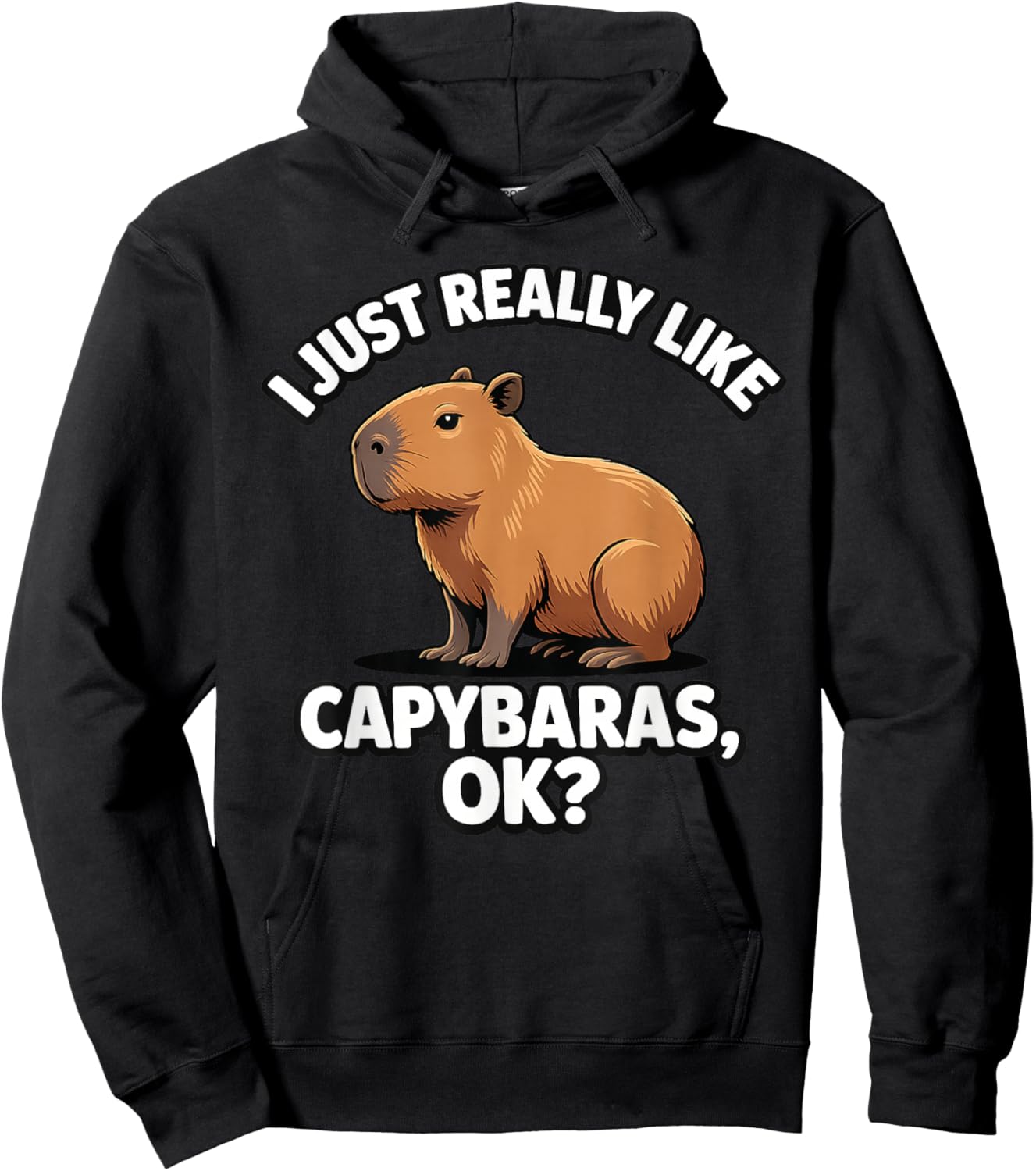 I Just Really Like Capybaras Ok Cute Capybara Men Women Kids Hoodie - Hoodie | Black