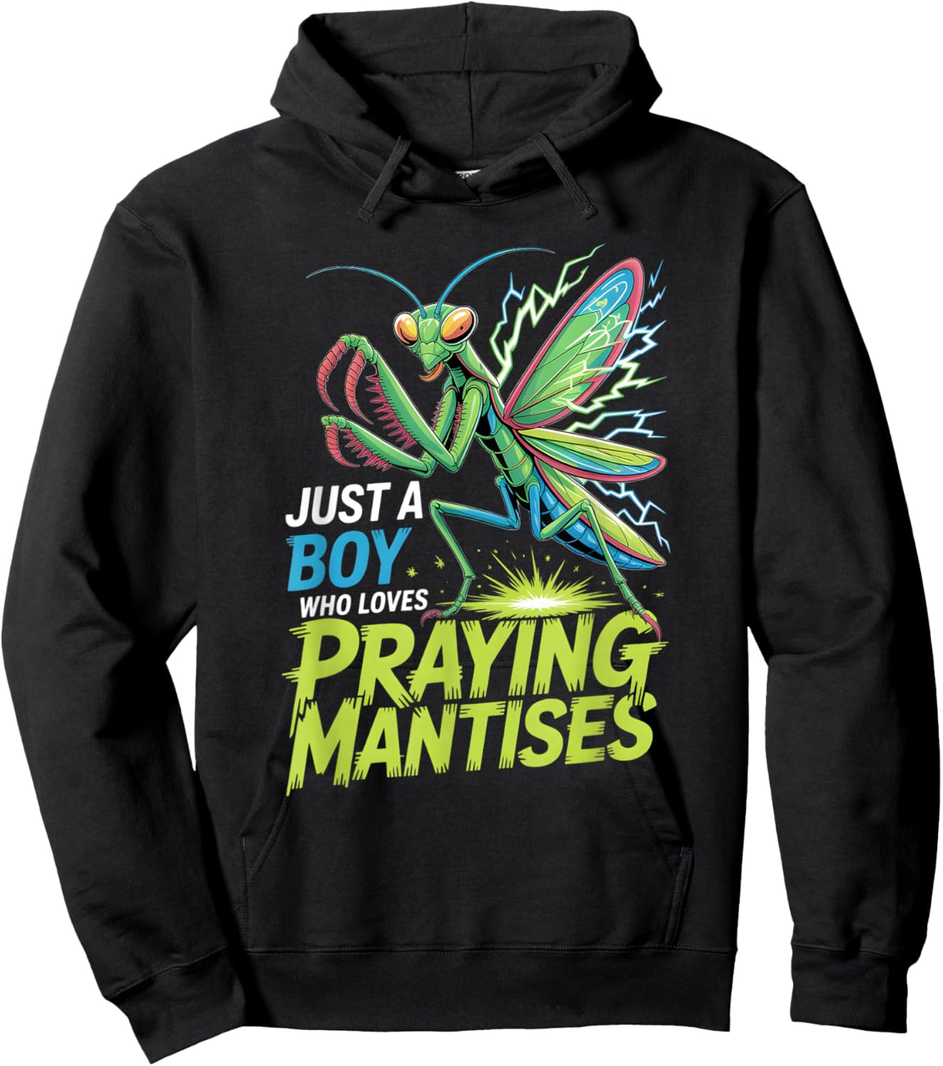 Boys Praying Mantis Hoodie - Hoodie | Black