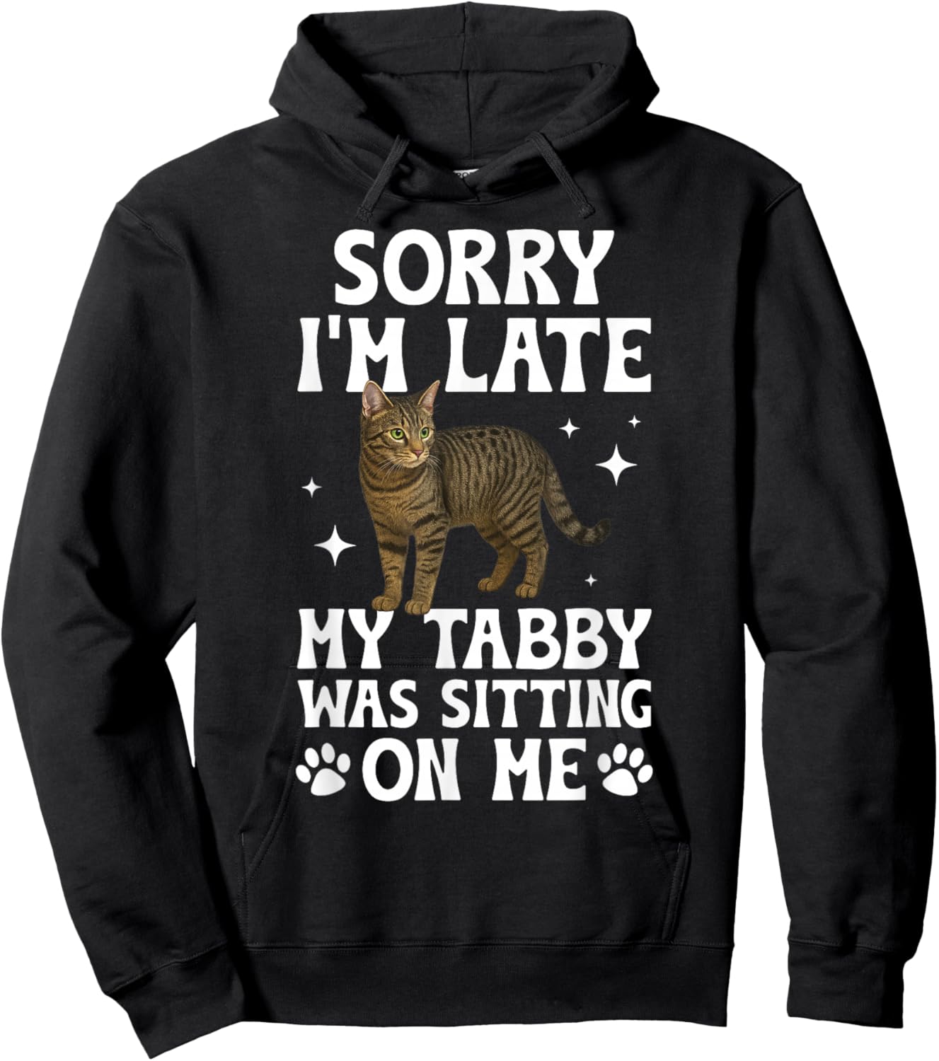 Grey Tabby Cat Owner Funny Gray Tabby Cat Lover Hoodie - Hoodie | Black