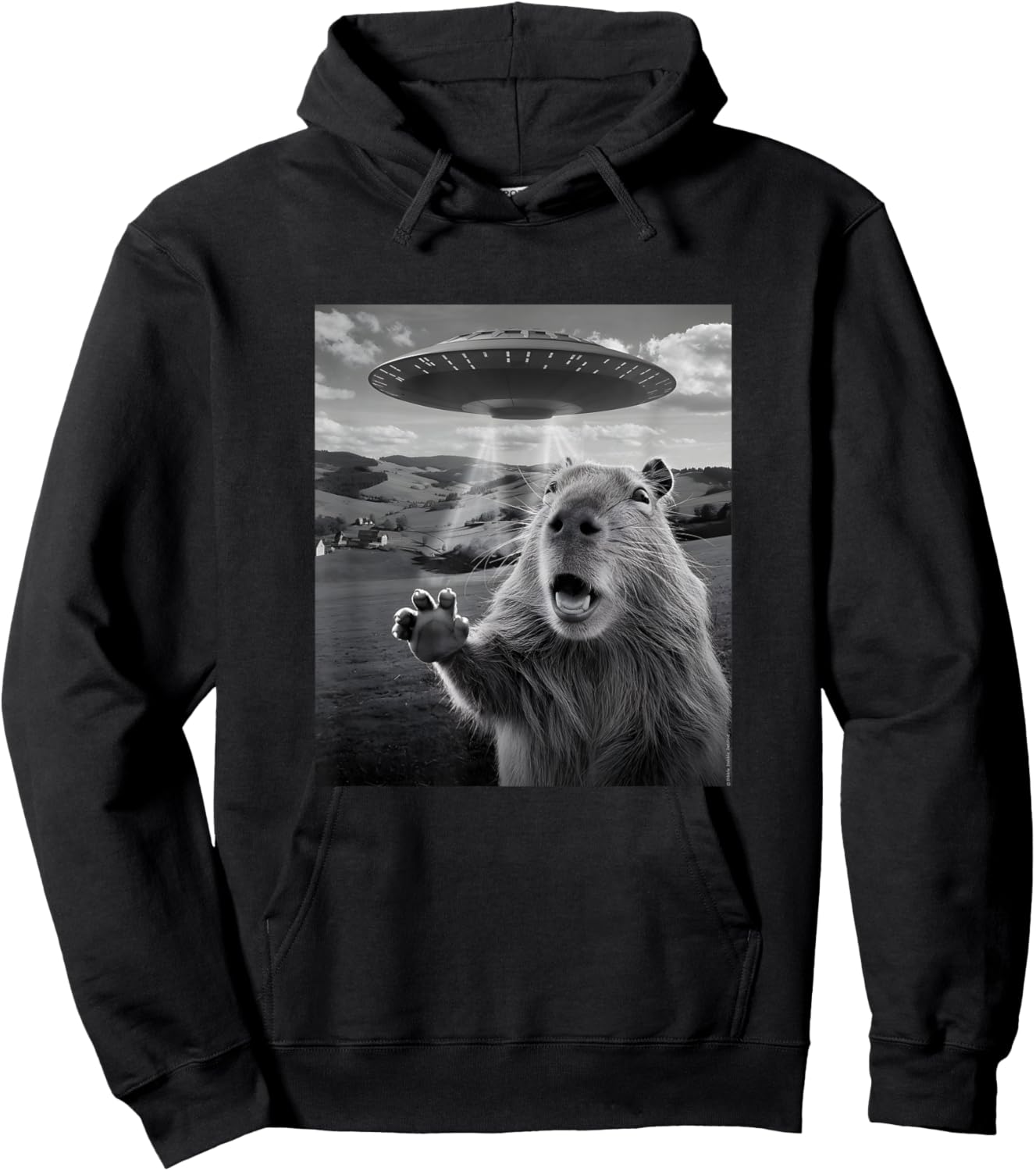Alien UFO with Scared Capybara Funny UFO Hoodie - Hoodie | Black