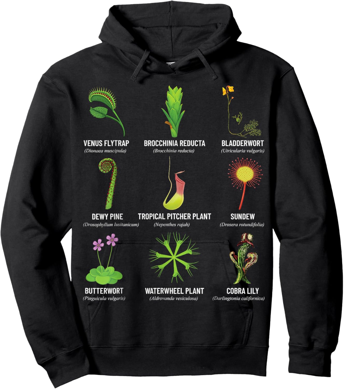 Carnivorous Plants Chart Venus Flytrap, Pitcher Plant Hoodie - Hoodie | Black