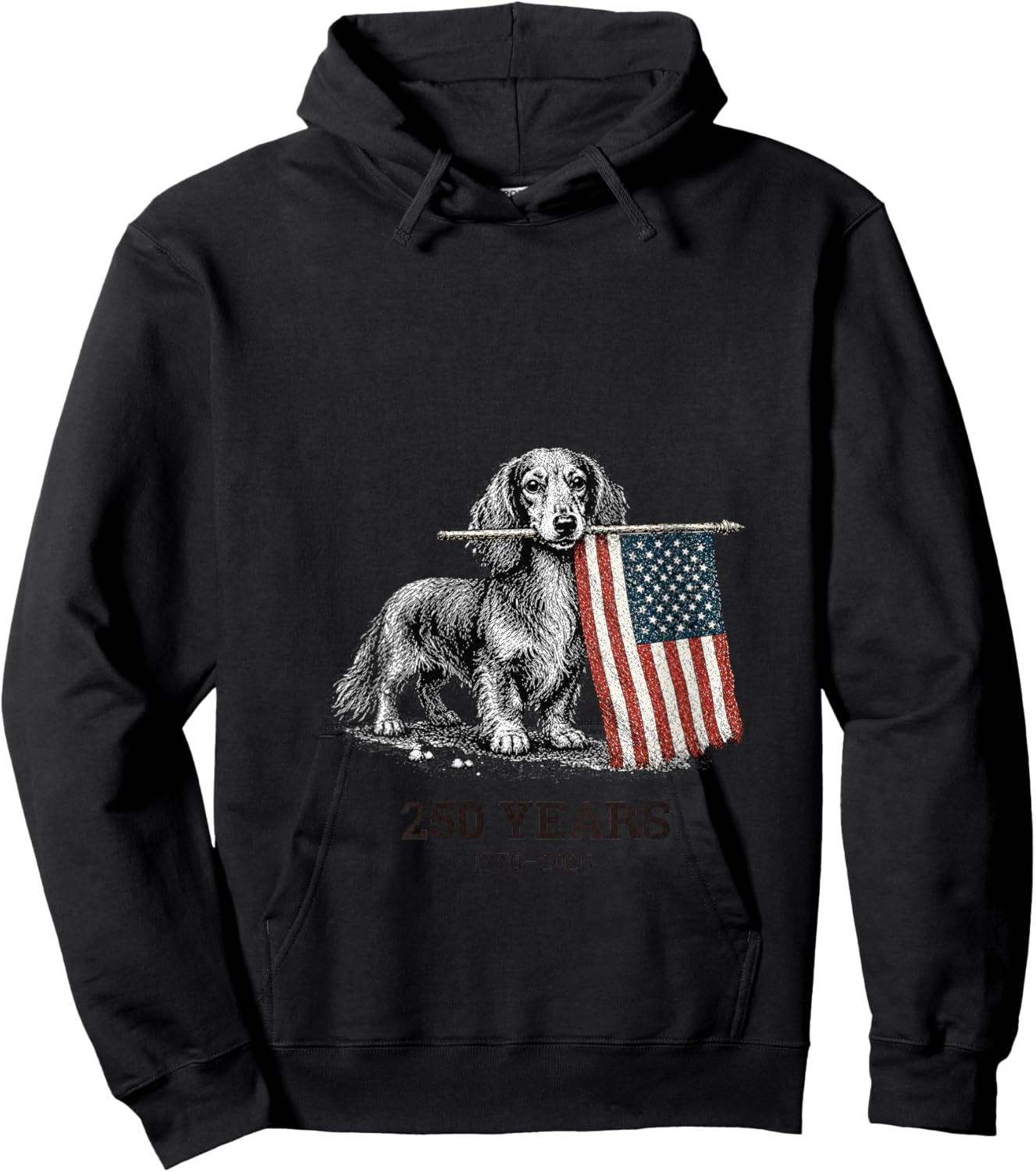 Women's Cute Long Haired Dachshund American Flag 250 Years 1776-2026 V-Neck Hoodie - Hoodie | Black