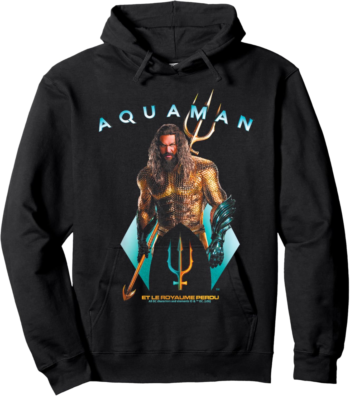 Aquaman Ocean Hero DC Comics Adventure Affichage sur Le thème de L'Aventure Hoodie - Hoodie | Black