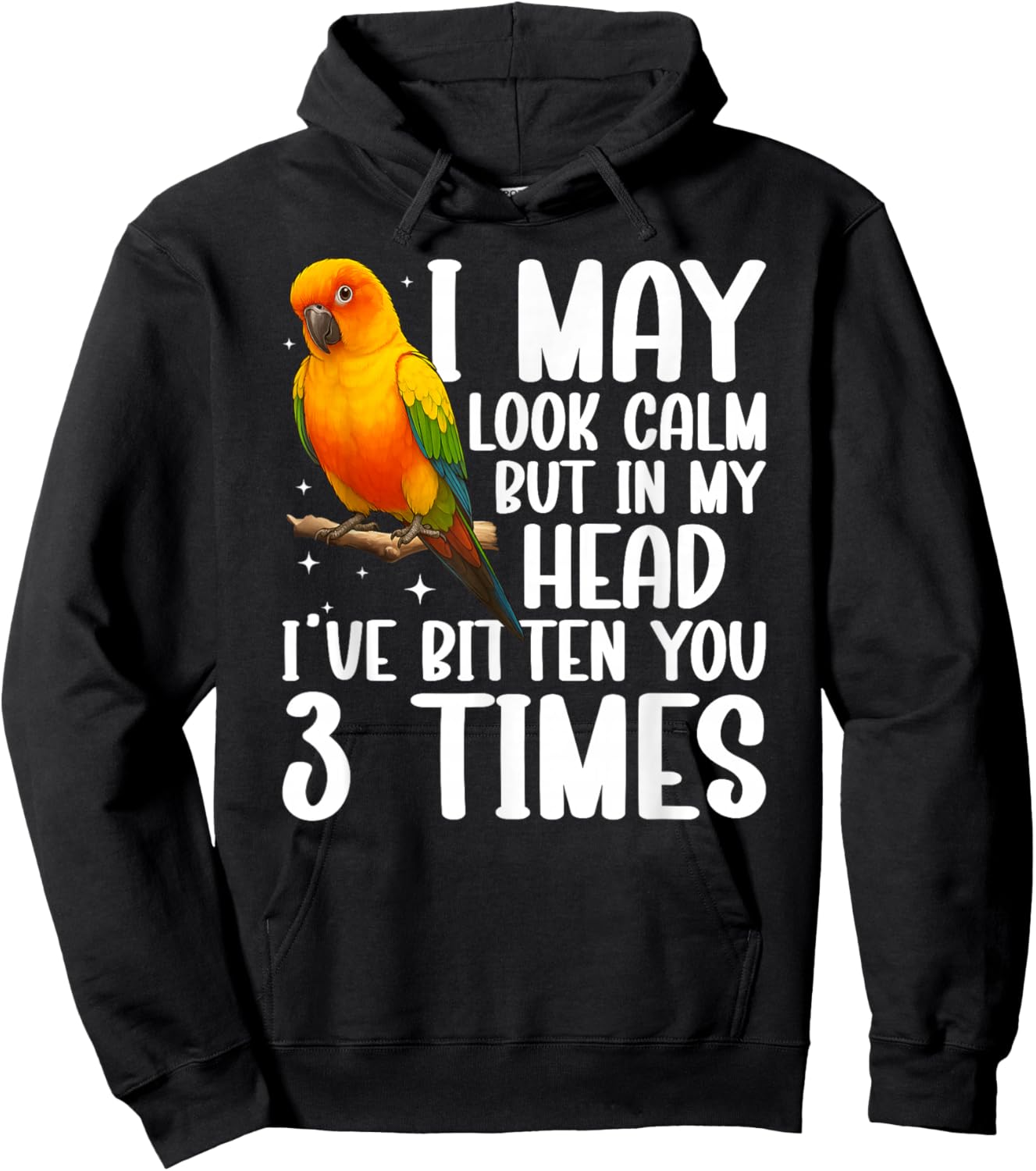 Sun Conure Parrot Owner Funny Sun Conure Lover Hoodie - Hoodie | Black