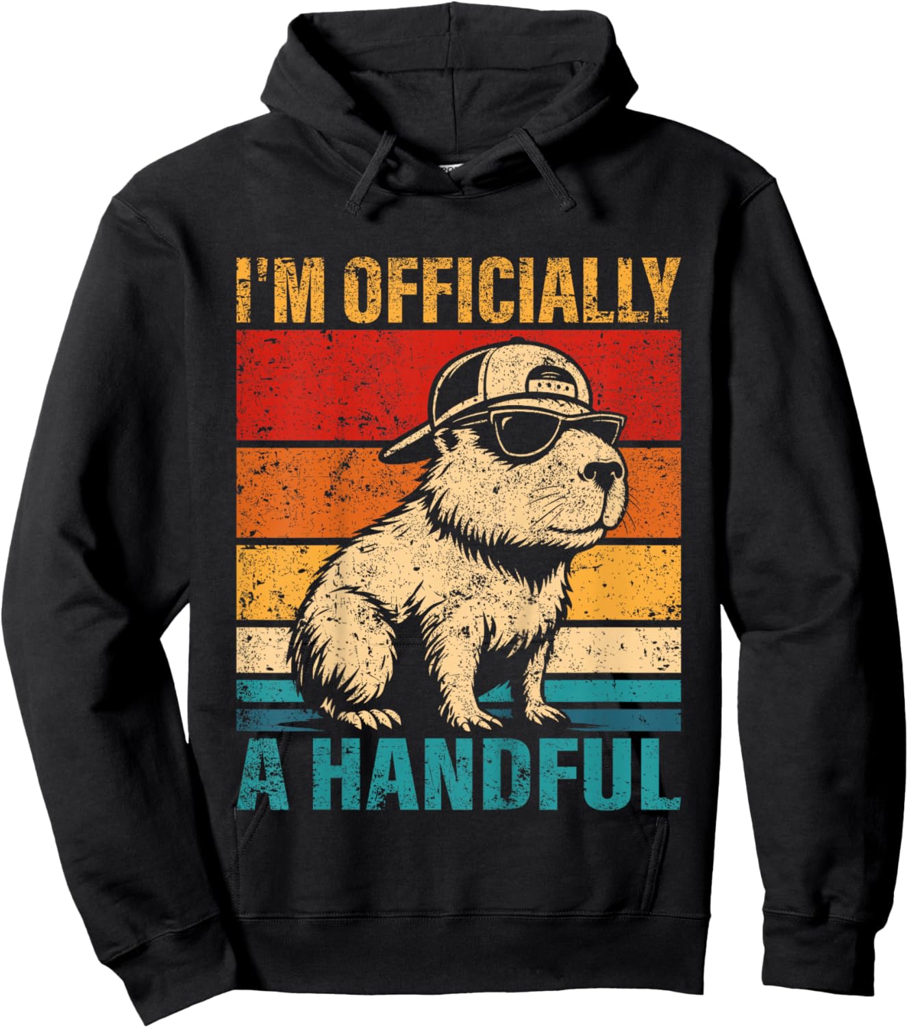 Kids 5 Year Old Birthday I'm Officially A Handful 5th Birthday Hoodie - Hoodie | Black