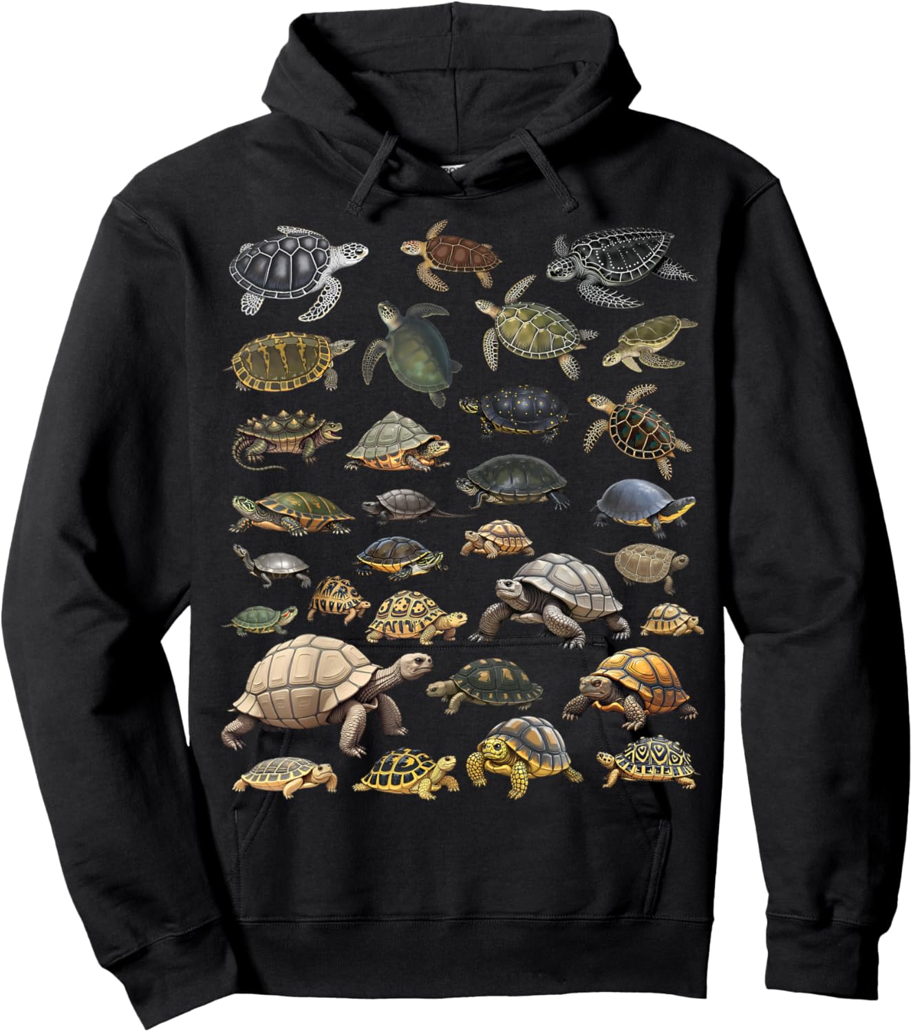 Types of Turtles Sea, Freshwater & Tortoises Species Char Hoodie - Hoodie | Black