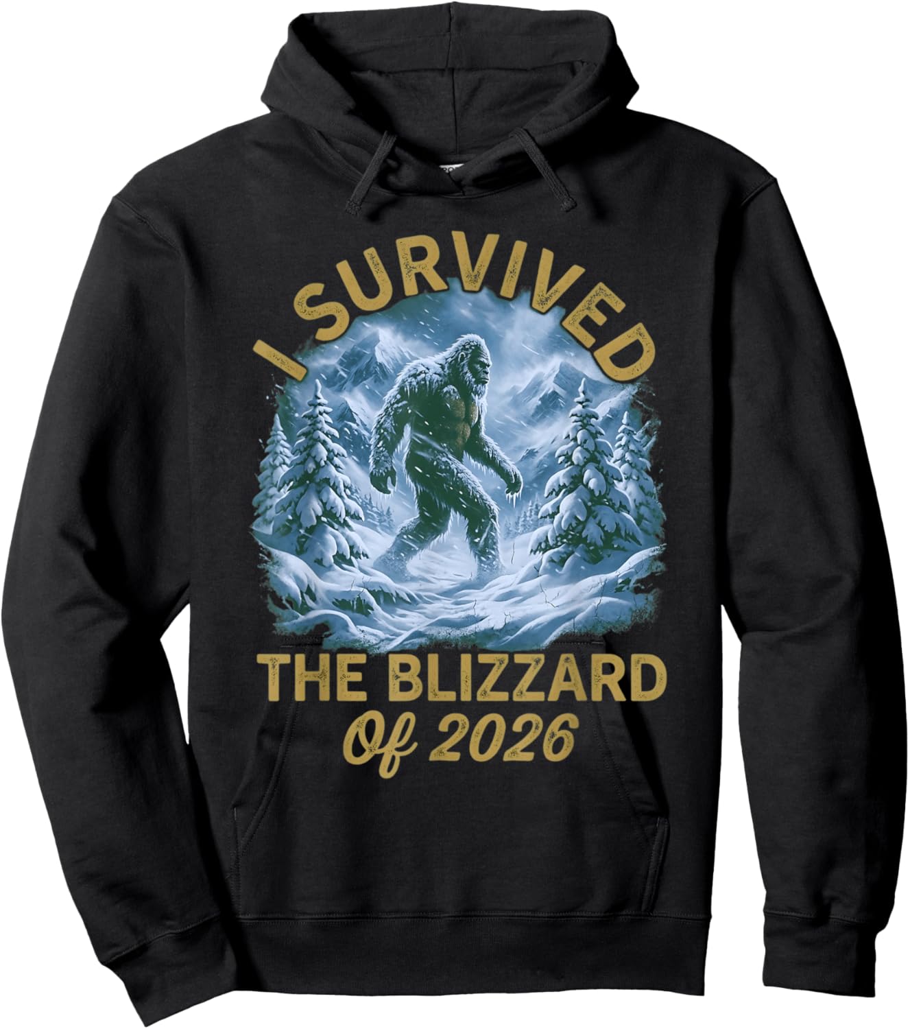 I Survived The Blizzard of 2026 Funny Winter Storm Survivor Hoodie - Hoodie | Black