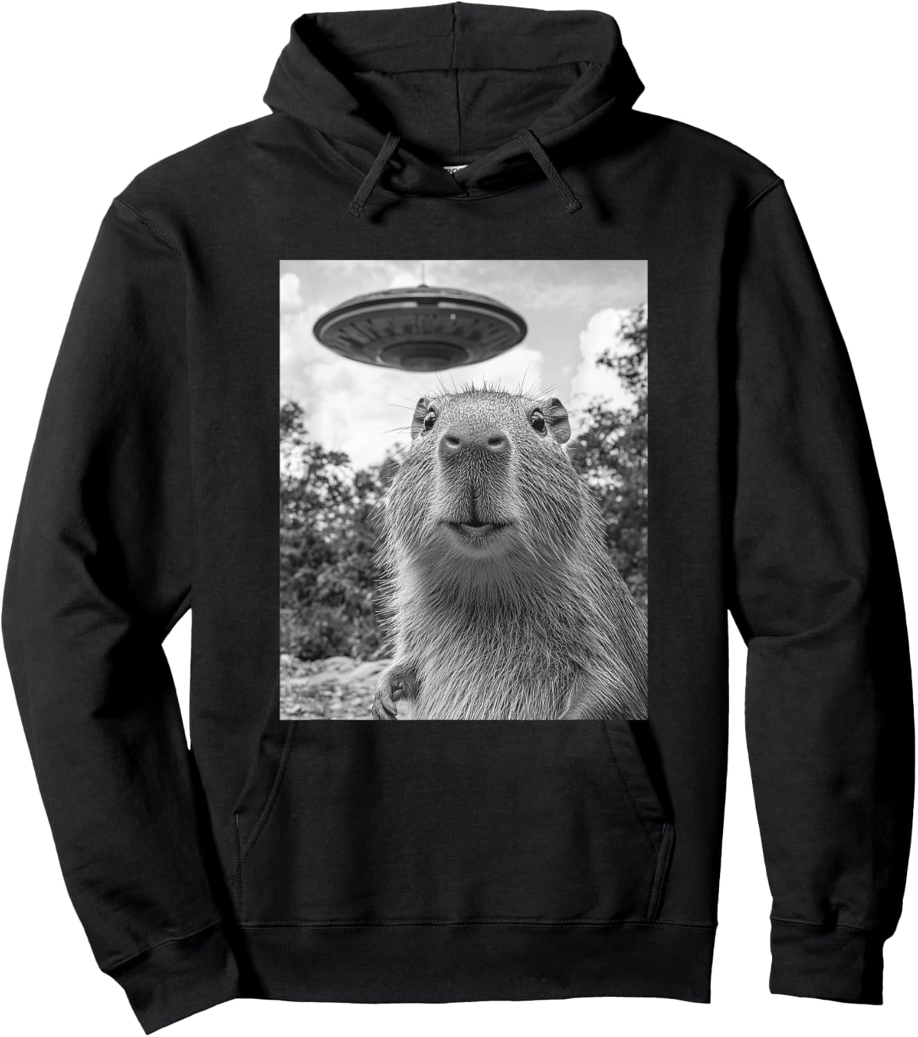 Funny Capybara Selfie with UFO Hoodie - Hoodie | Black