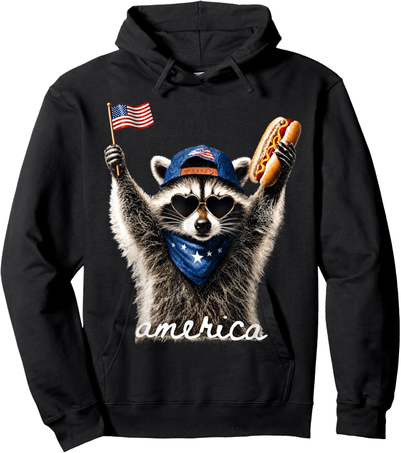 USA America Raccoon Hot Dog 1776-2026 4th of July 250 Years Hoodie - Hoodie | Black