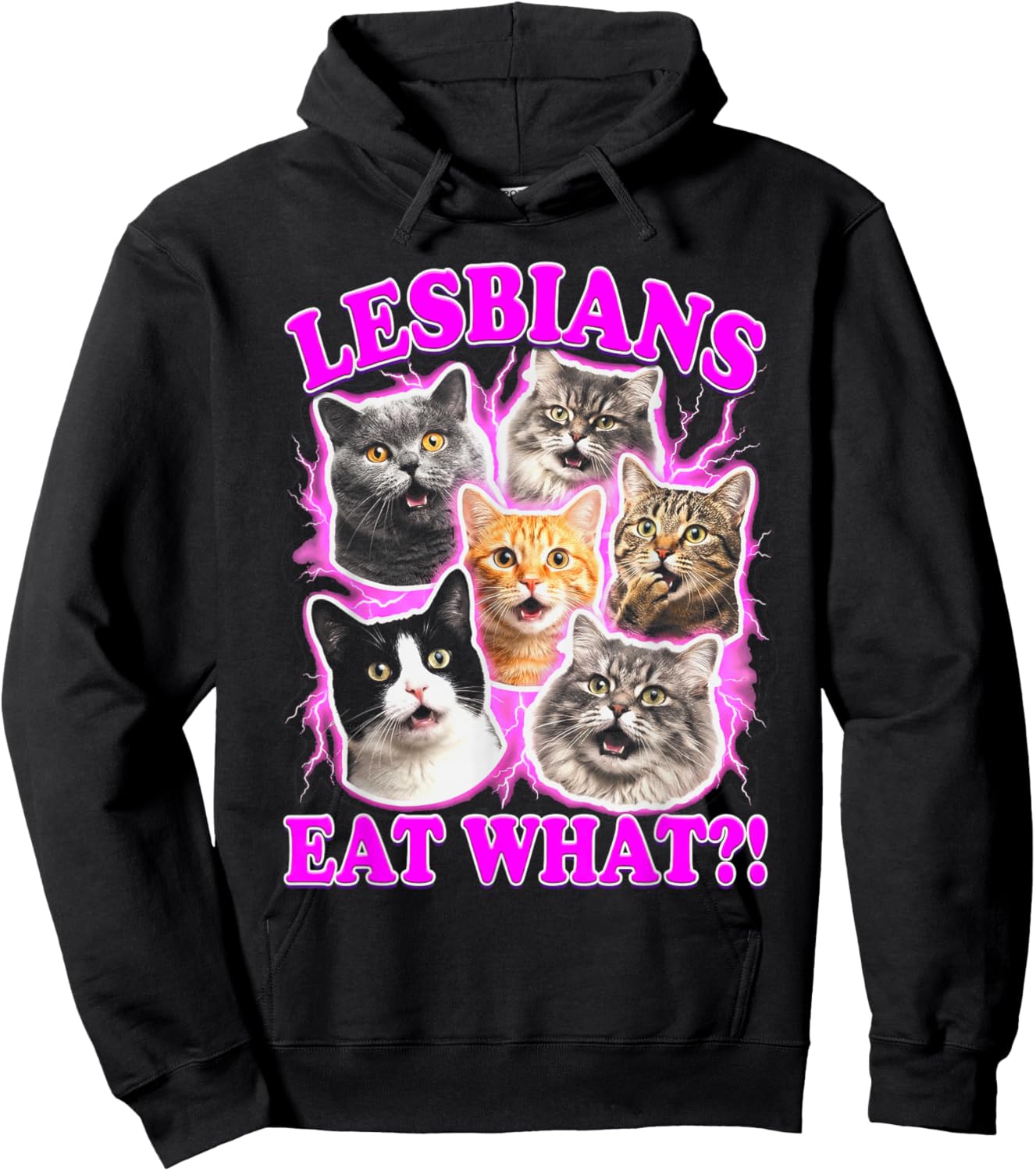 Lesbians Eat What Funny Cat Gay Pride LGBTQ Pun Hoodie - Hoodie | Black