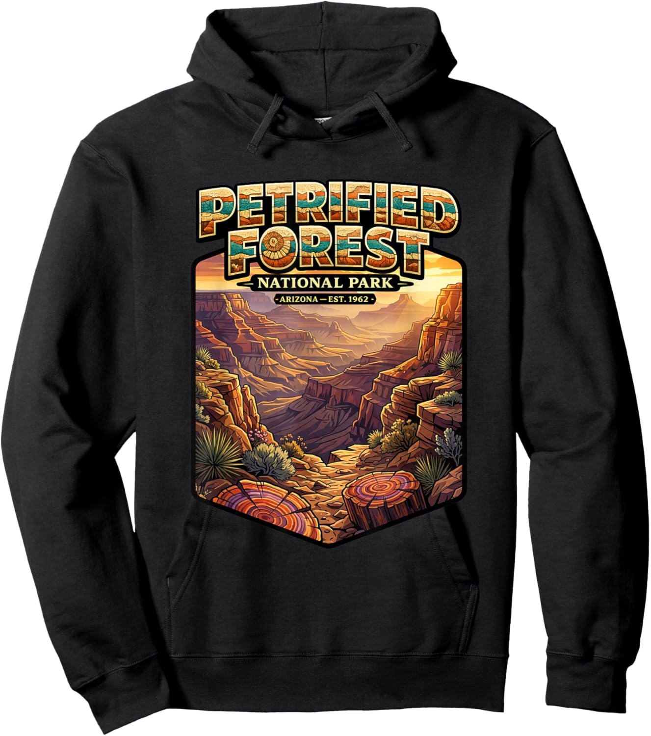 Petrified Forest National Park Hoodie - Hoodie | Black
