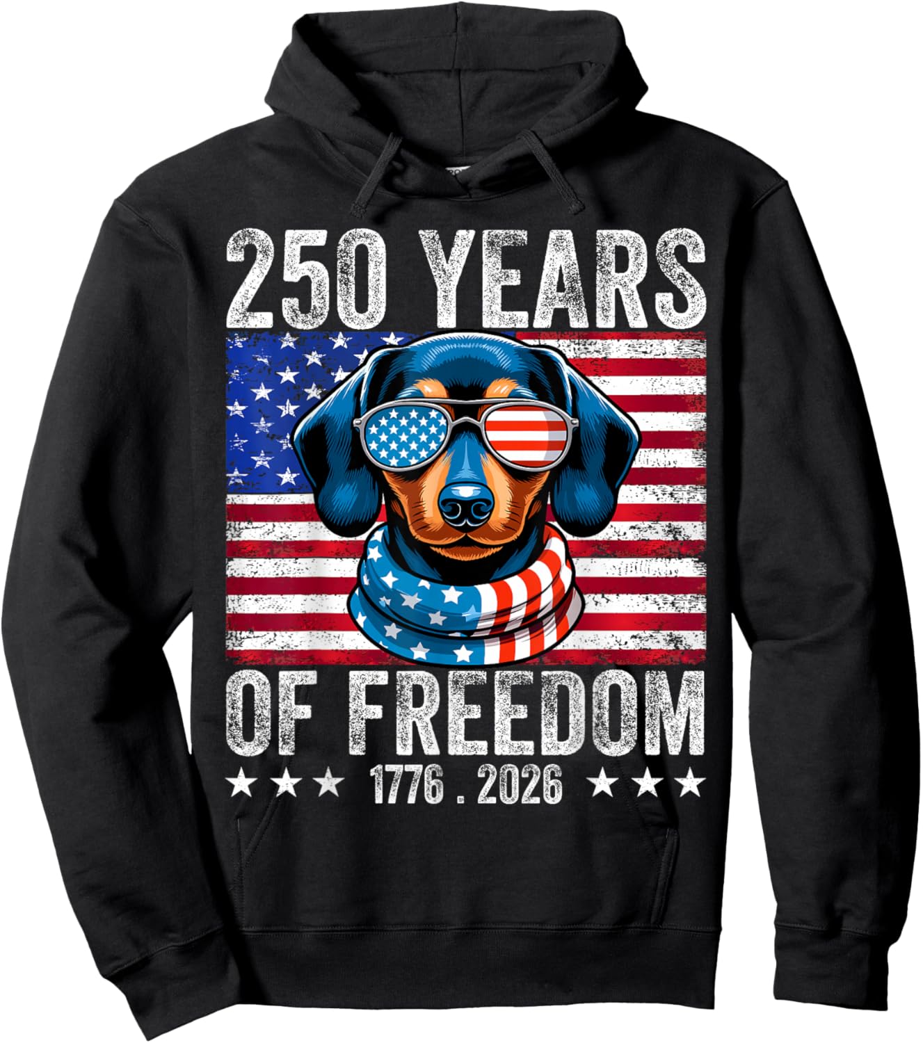 250 Anniversary USA Dog Dachshund 4th of July Hoodie - Hoodie | Black