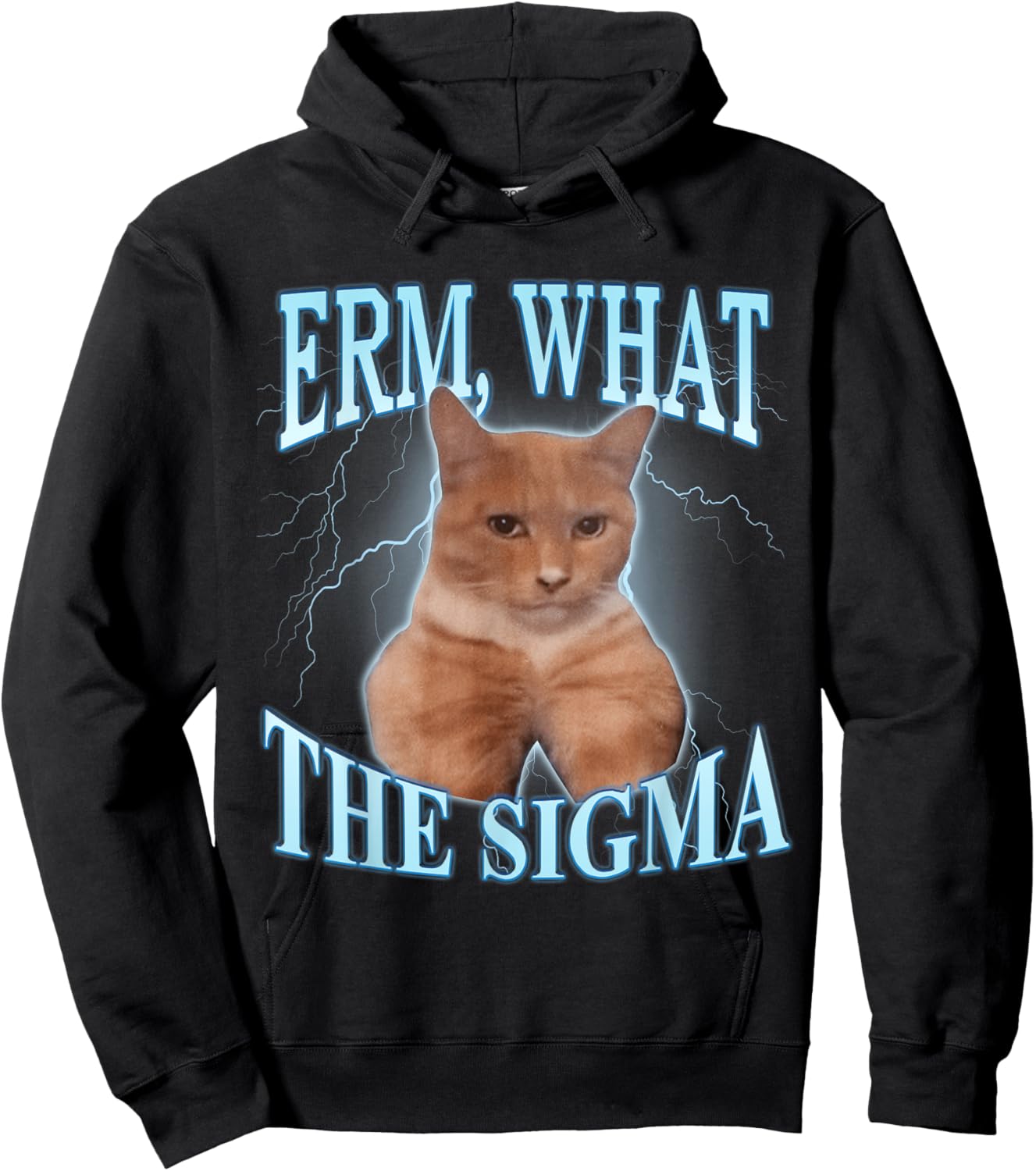 What the Sigma Cat Men Women Kids Hoodie - Hoodie | Black