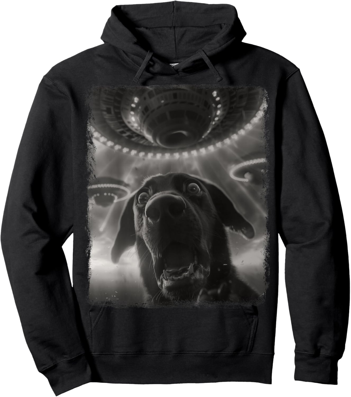 Labrador Dog UFO Alien Extraterrestrial Selfie Hoodie - Hoodie | Black