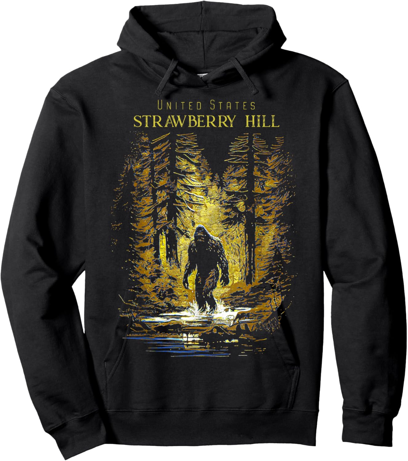 Strawberry Hill United States Hoodie - Hoodie | Black