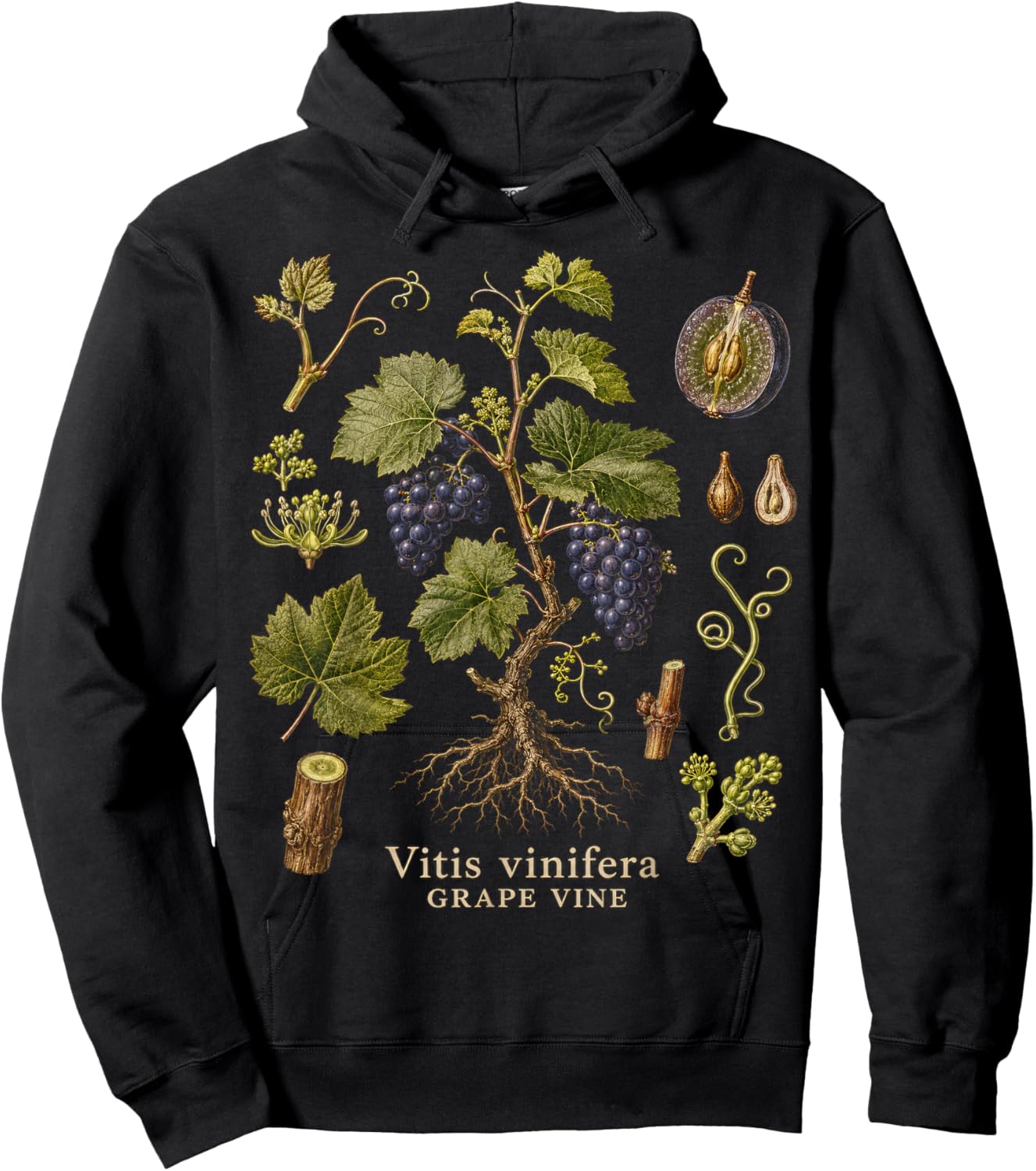 Grape Vine Botanical Anatomy Vintage Nature Study Art Hoodie - Hoodie | Black