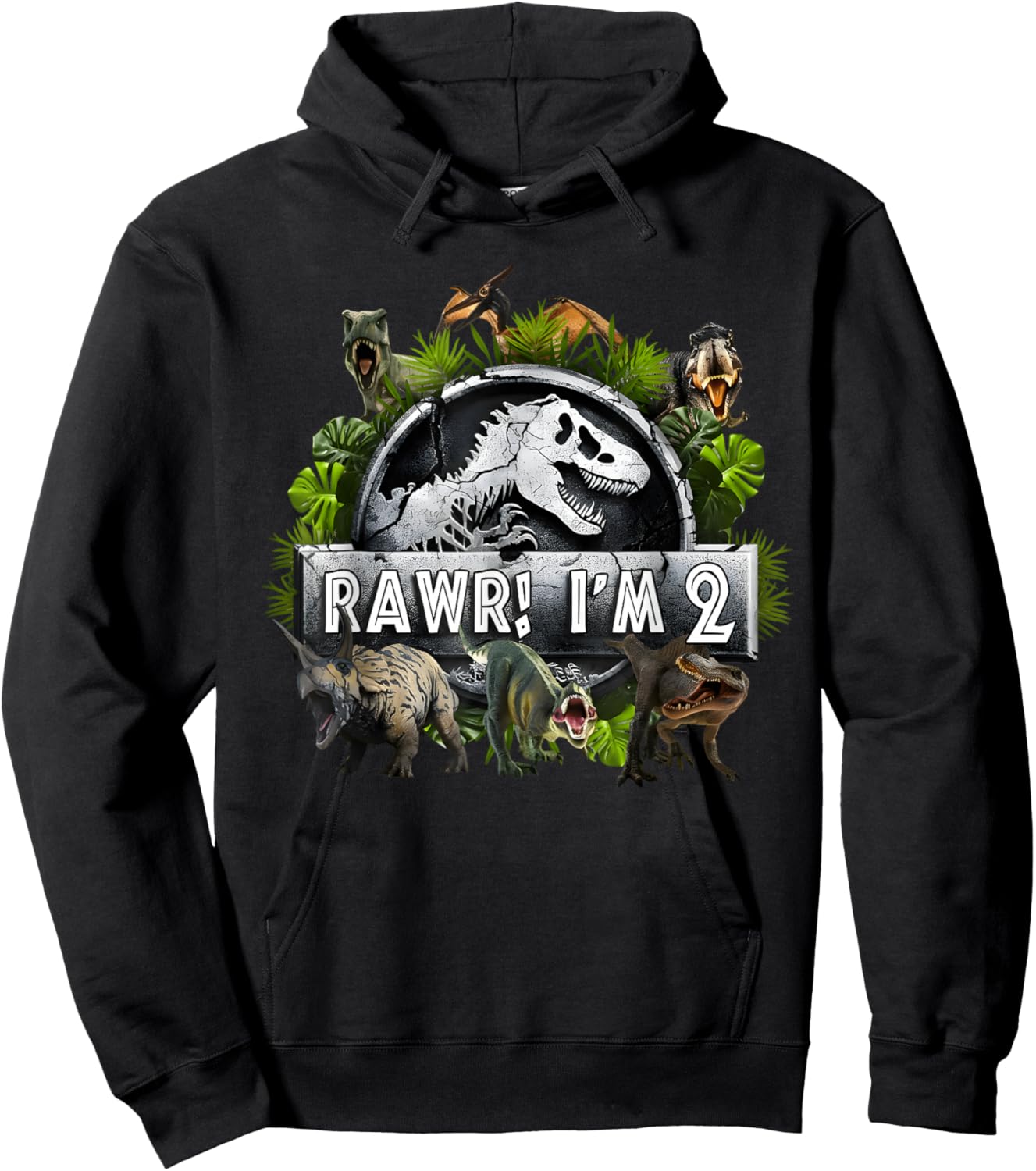 Rawr I'm 2 2nd Birthday T Rex Dinosaur Funny Party Boys Kids Hoodie - Hoodie | Black