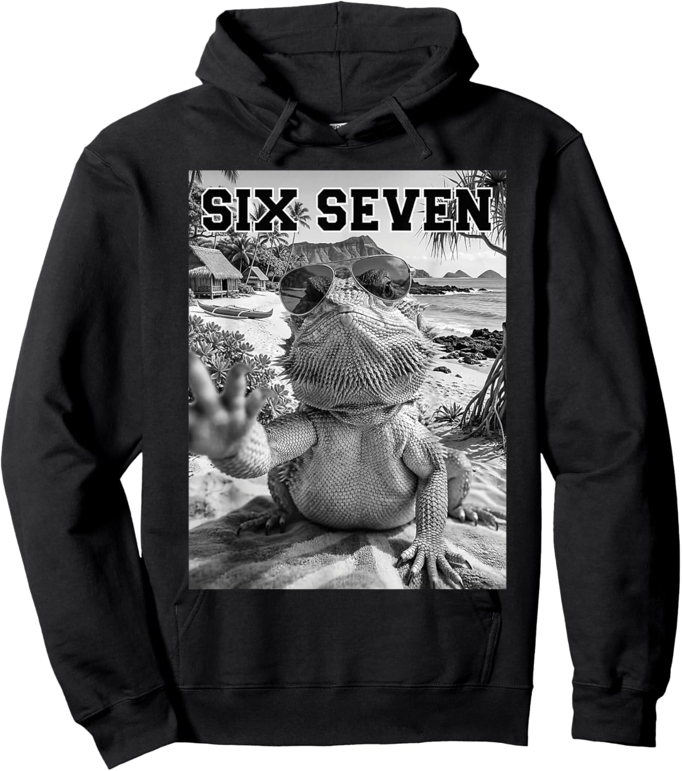 67 Bearded Dragon Lover Beach Funny Humor Meme Hoodie - Hoodie | Black
