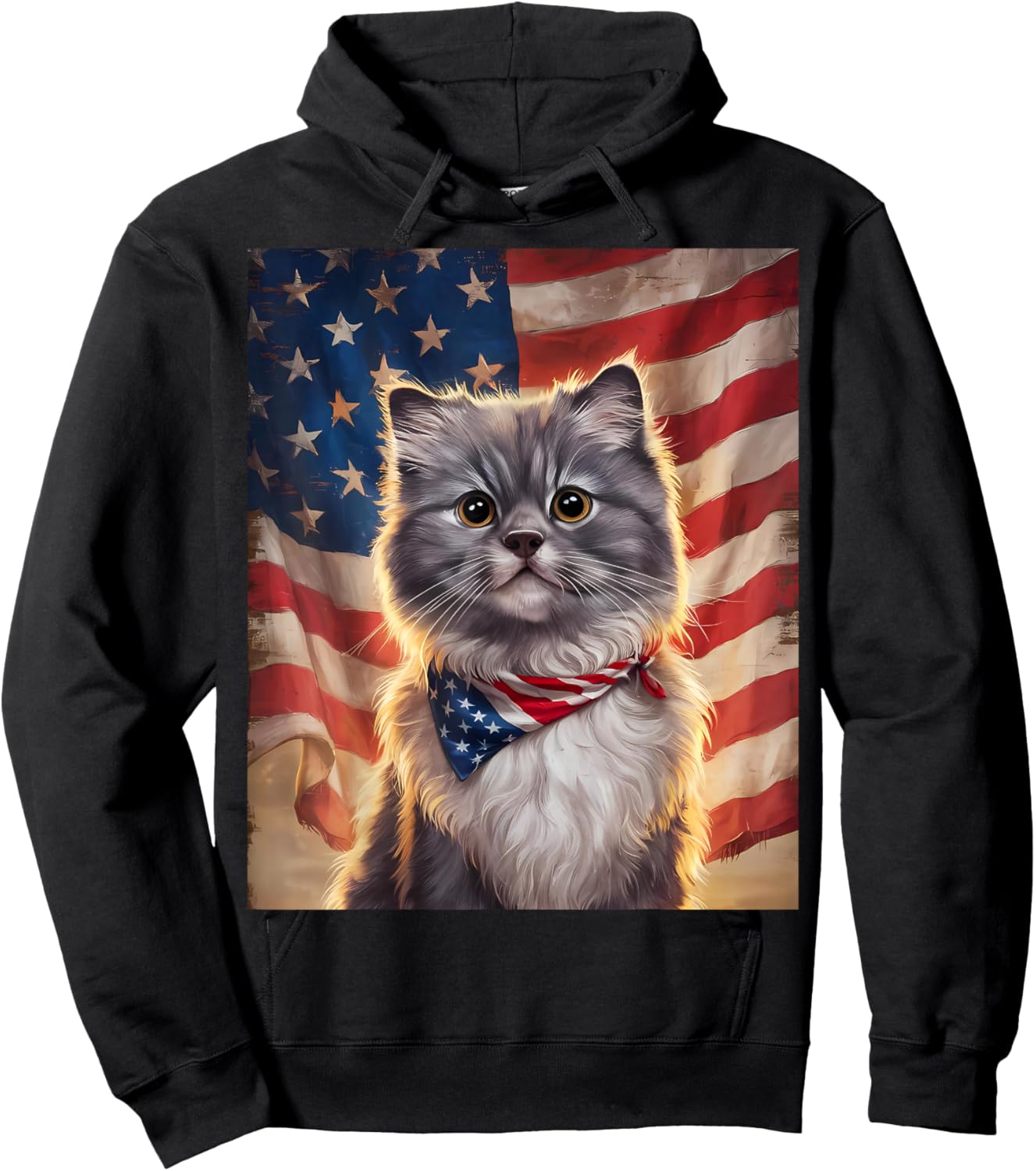Cute Fluffy Gray Cat American Flag Independence Day Hoodie - Hoodie | Black