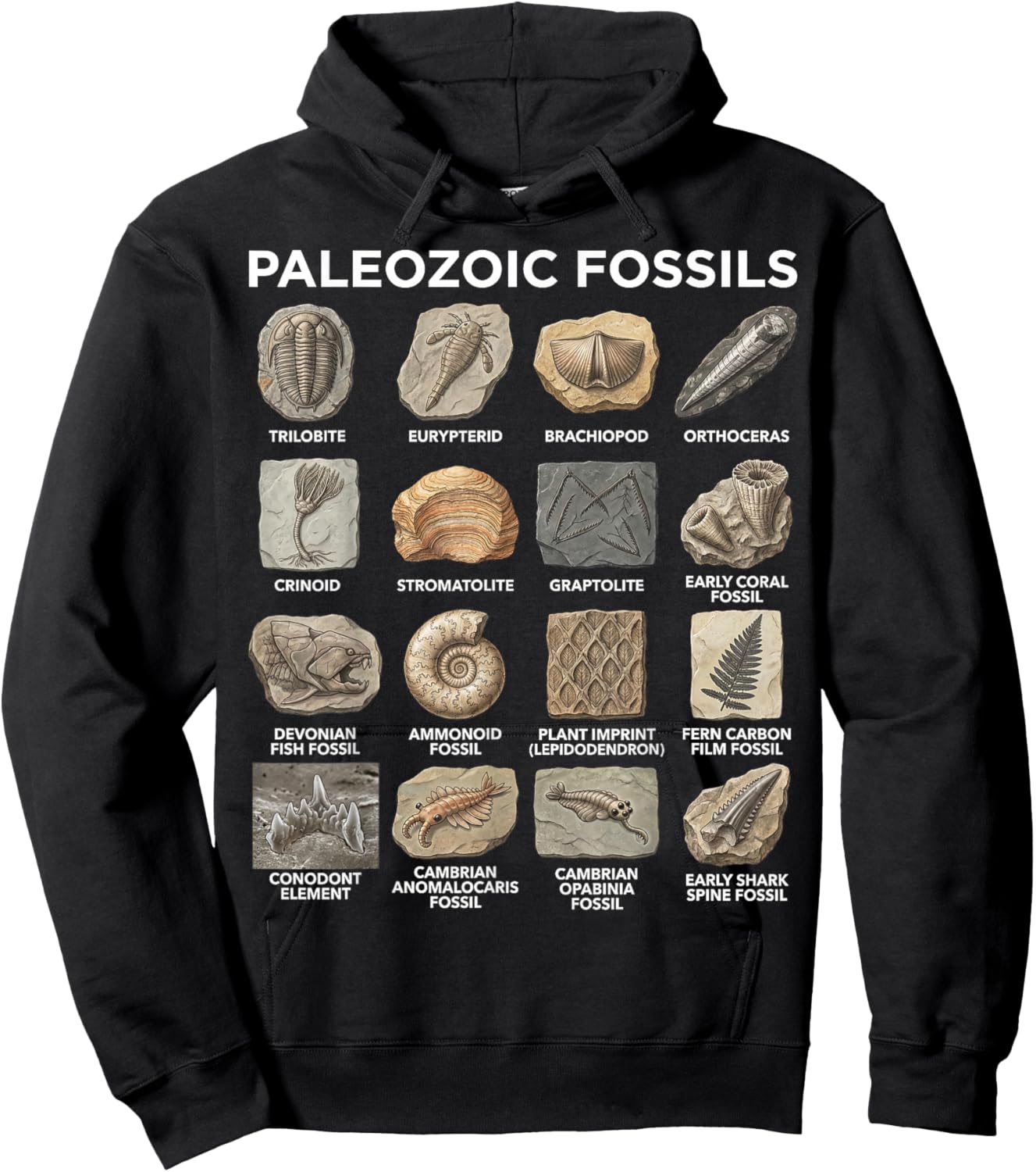 Paleozoic Fossils Chart Paleontology Science Lovers Hoodie - Hoodie | Black