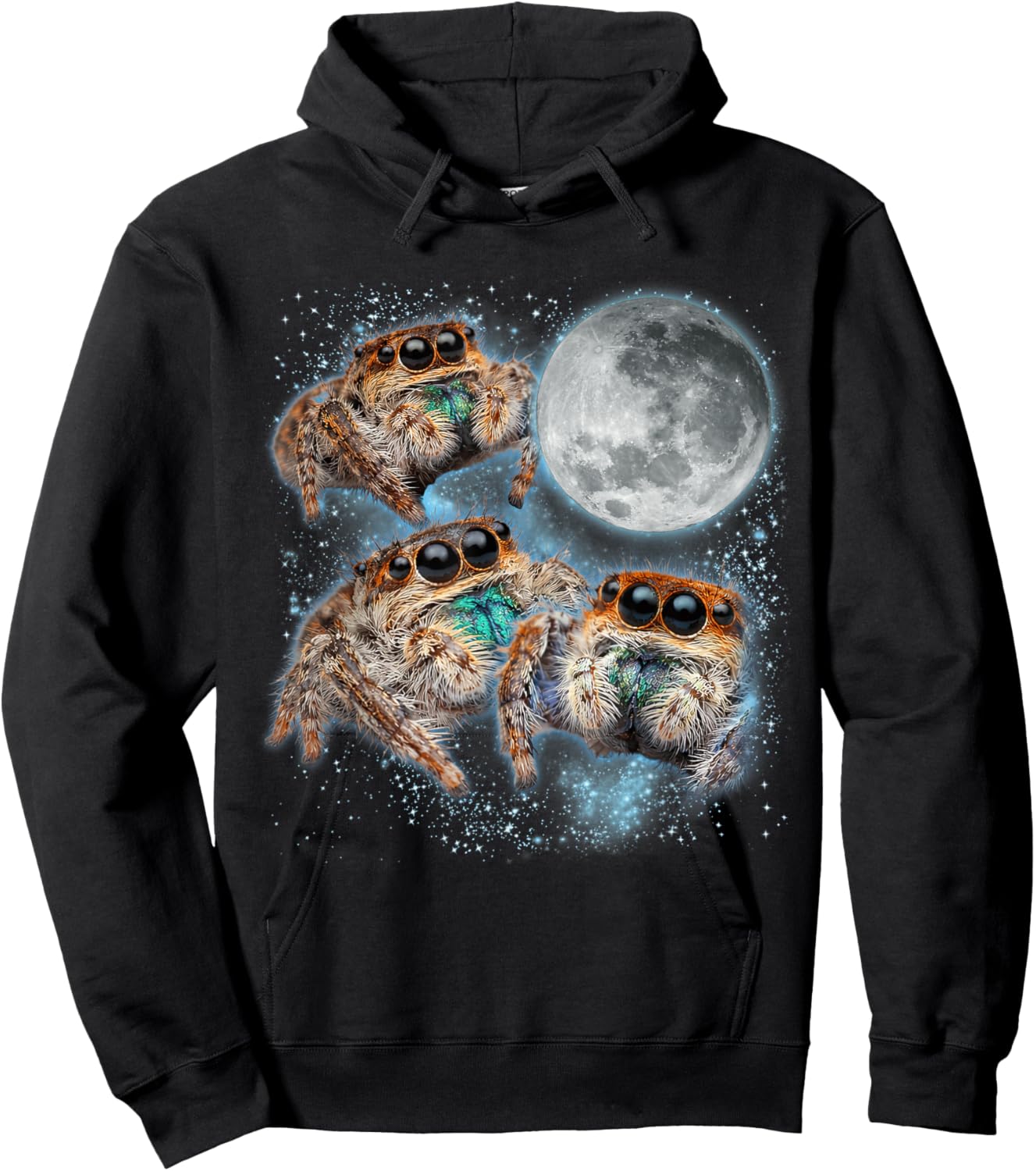 Jumping Spider Lover Galaxy Moon Three Jumping Spiders Hoodie - Hoodie | Black