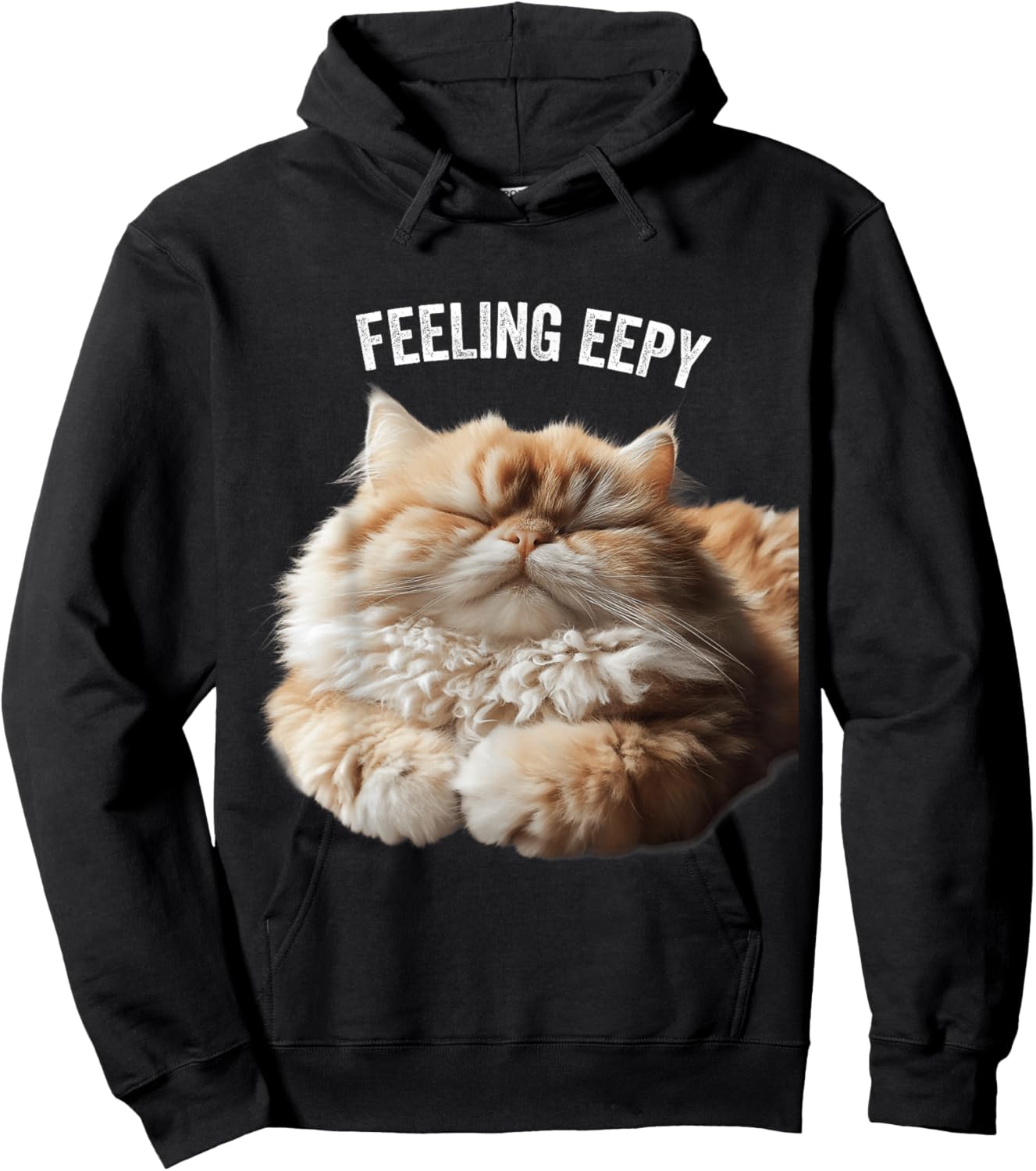 Eepy Cat, Silly Sleepy Cat Meme Cute fluffy cat lovers Hoodie - Hoodie | Black