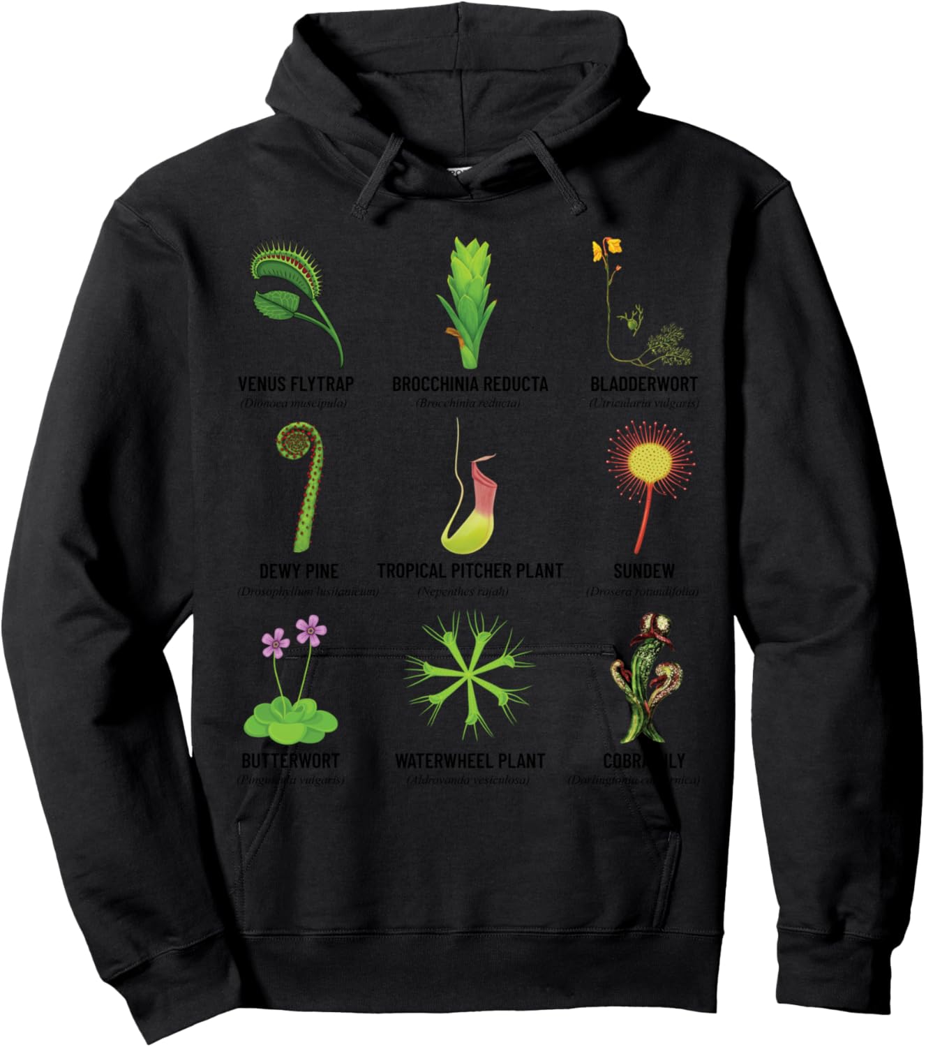 Carnivorous Plants Chart Venus Flytrap, Pitcher Plant Hoodie - Hoodie | Black