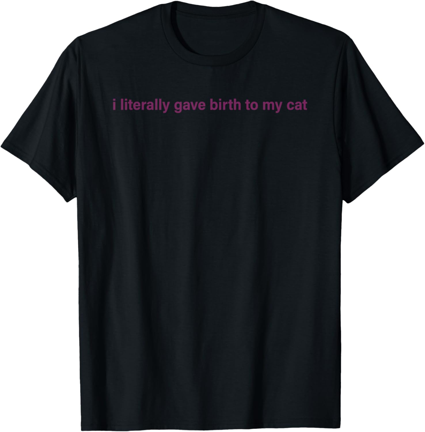 I Literally Gave Birth To My Cat Women T-Shirt - T-Shirt | Black