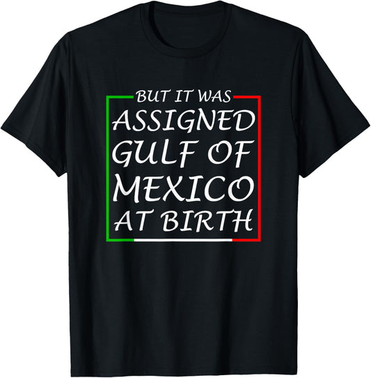 But It Was Assigned Gulf Of Mexico At Birth T-Shirt - T-Shirt | Black