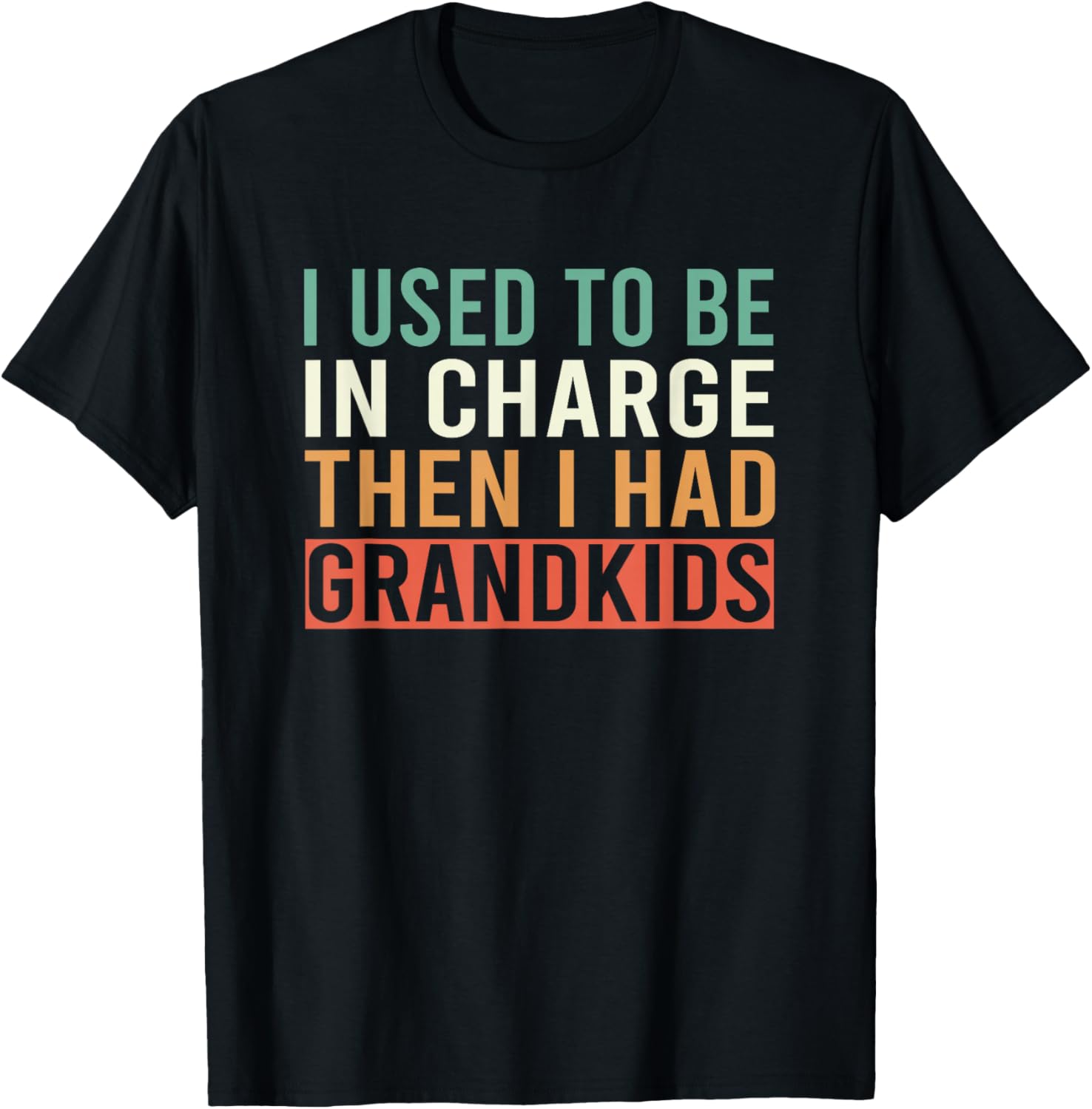 I Used to Be in Charge Then I Had Grandkids T-Shirt - T-Shirt | Black
