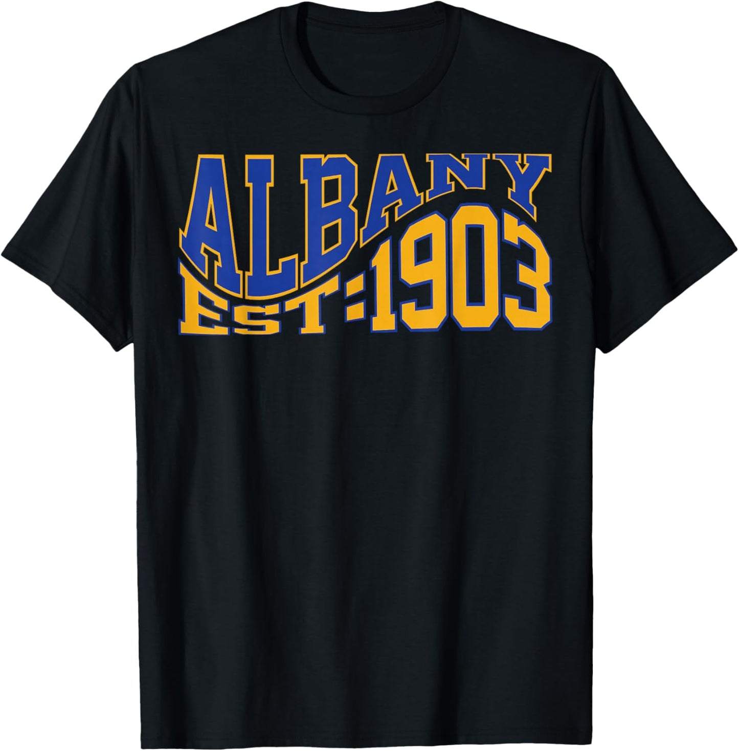Retro Albany Wave Text City Vintage State T-Shirt - T-Shirt | Black
