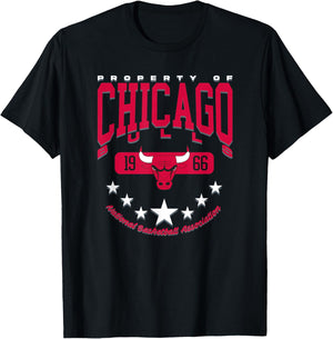 NBA-Offizieller Chicago Bulls Rising Star T-Shirt - T-Shirt | Black