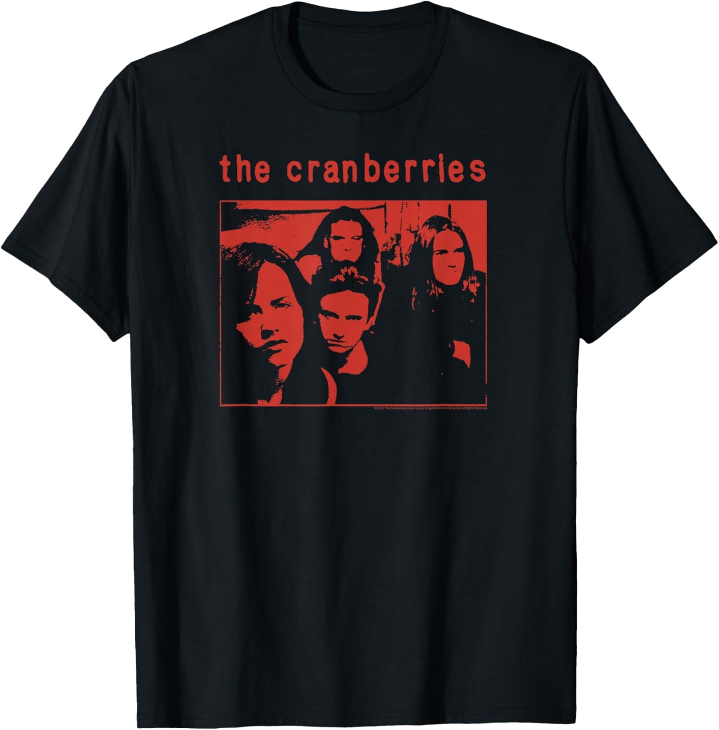 The Cranberries '95 World Tour Concert Vintage Band , Black, S T-Shirt - T-Shirt | Black