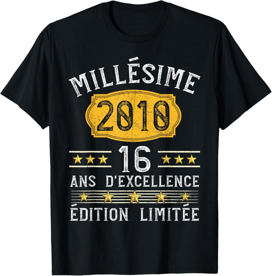 Vintage 2010 Gift 16 Years Boy Birthday Humour T-Shirt - T-Shirt | Black