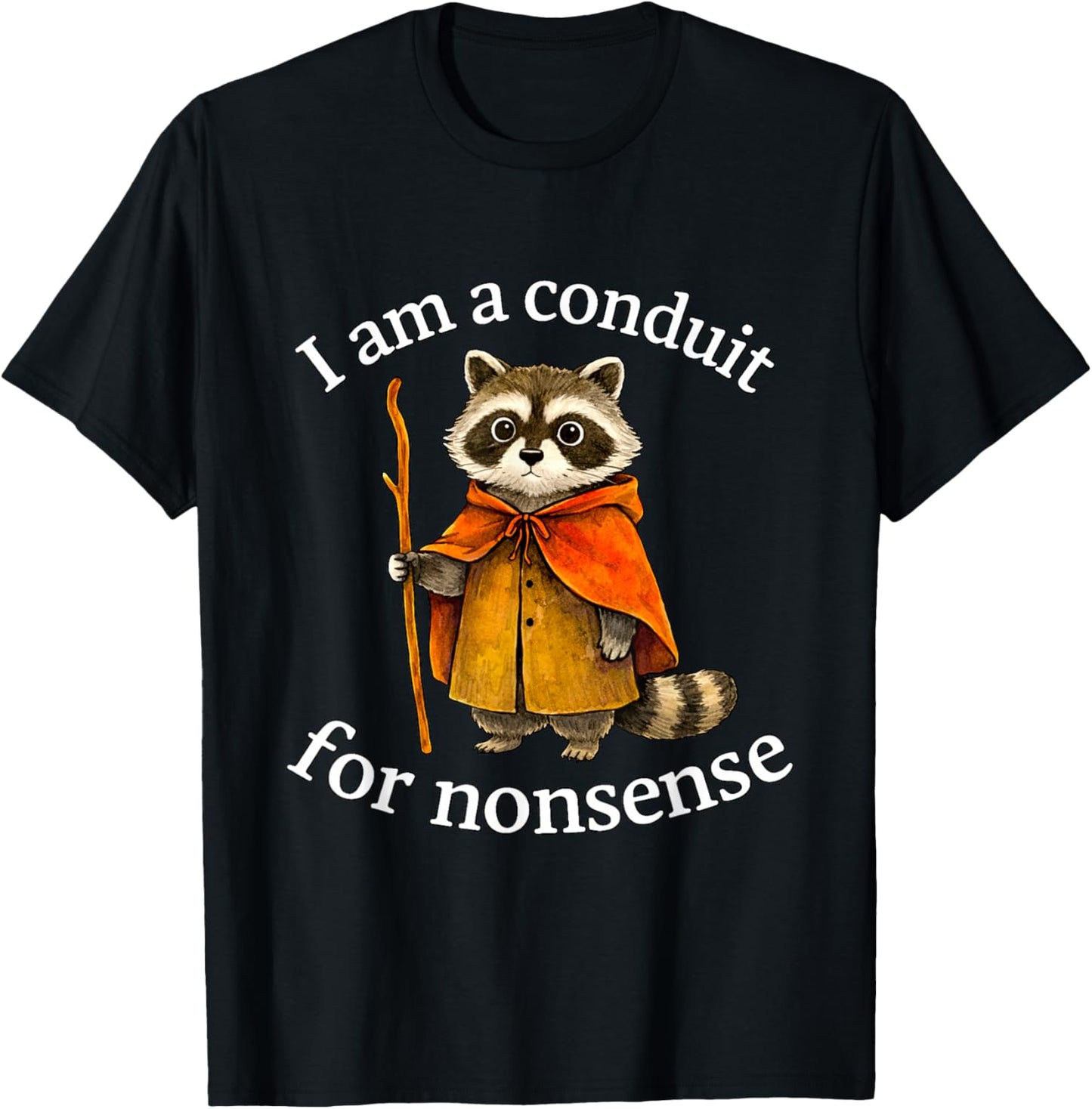 Cute I Am a Conduit for Nonsense Raccoon Wizard Meme T-Shirt - T-Shirt | Black