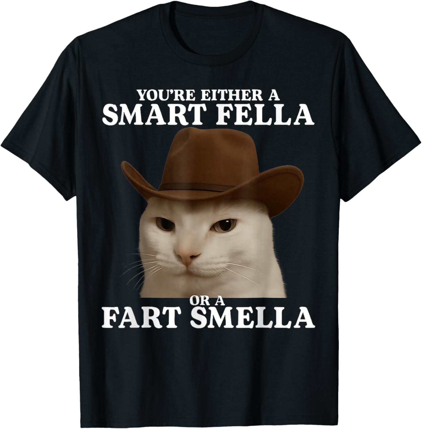 You're Either a Smart Fella or a Fart Smella Cat Funny Meme T-Shirt - T-Shirt | Black